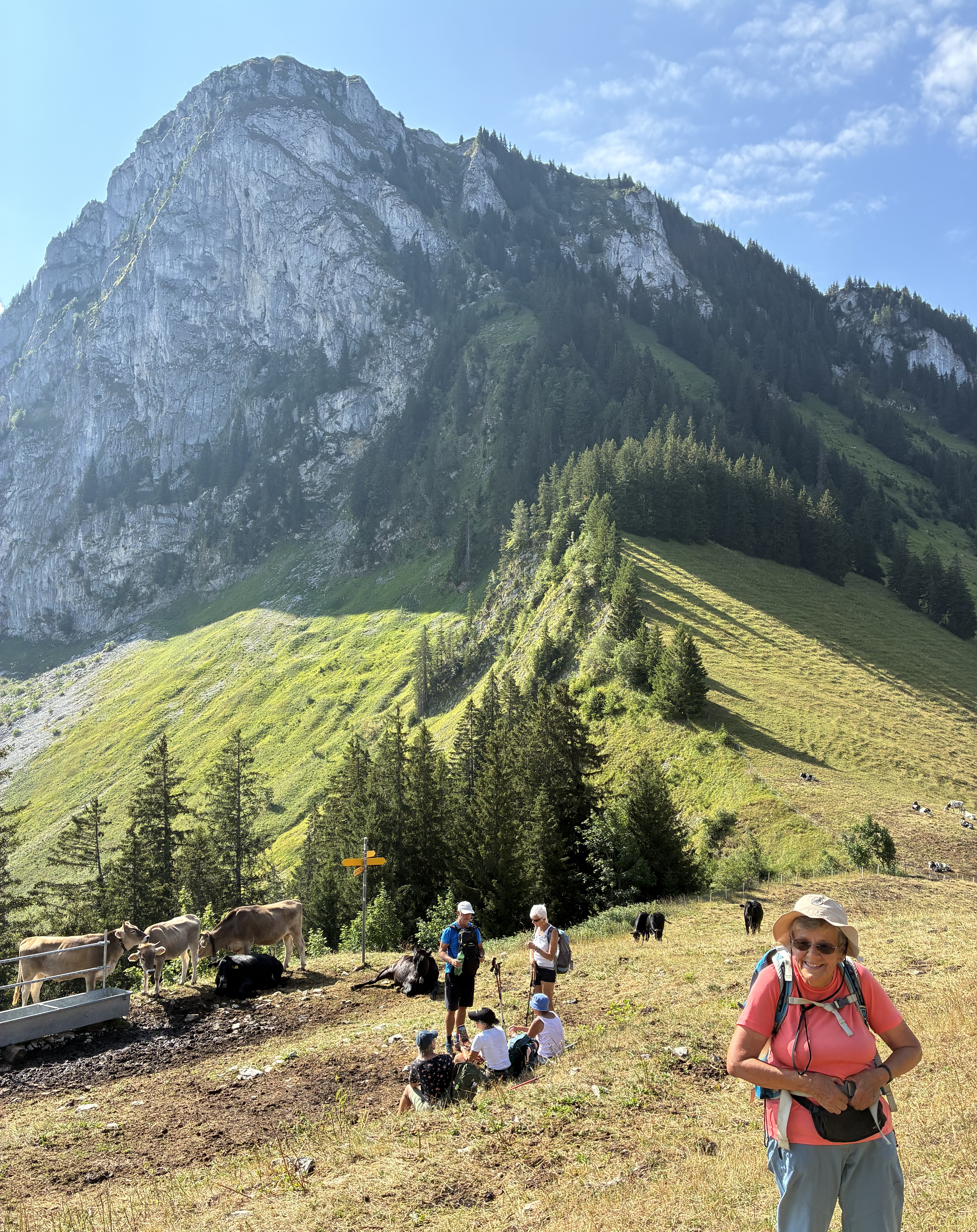 photo de Dent du Chamois