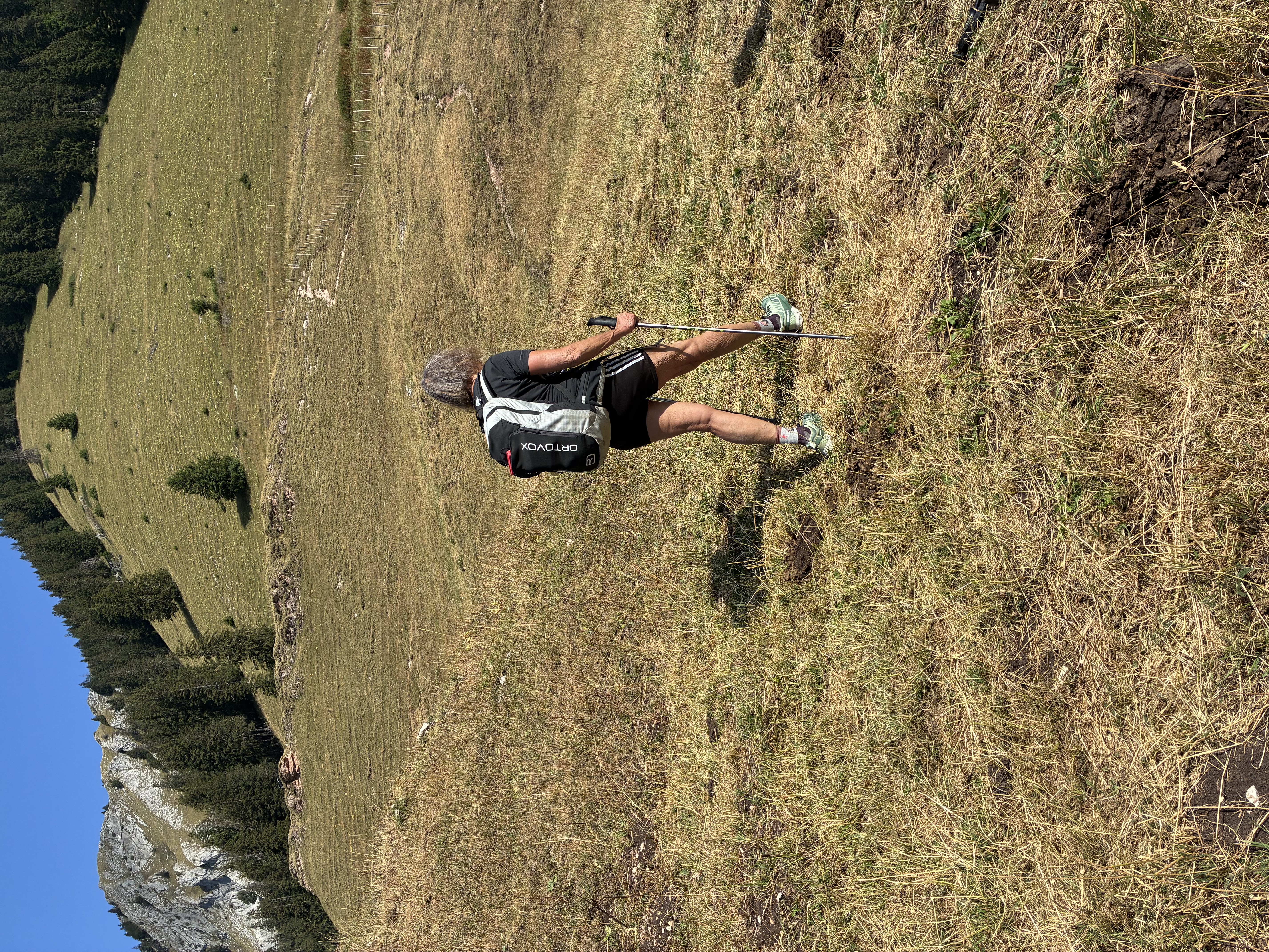 photo de Dent du Chamois
