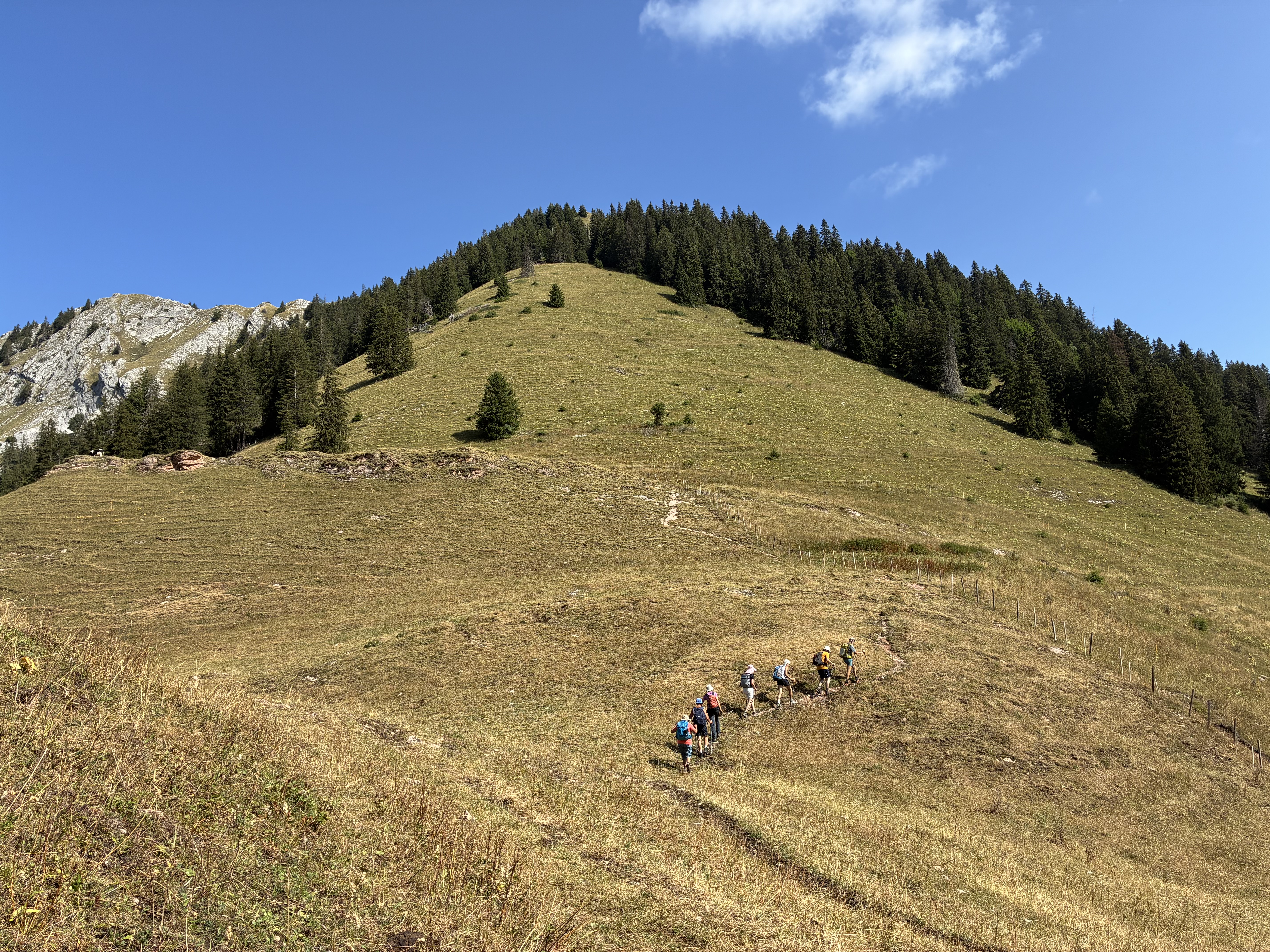 photo de Dent du Chamois