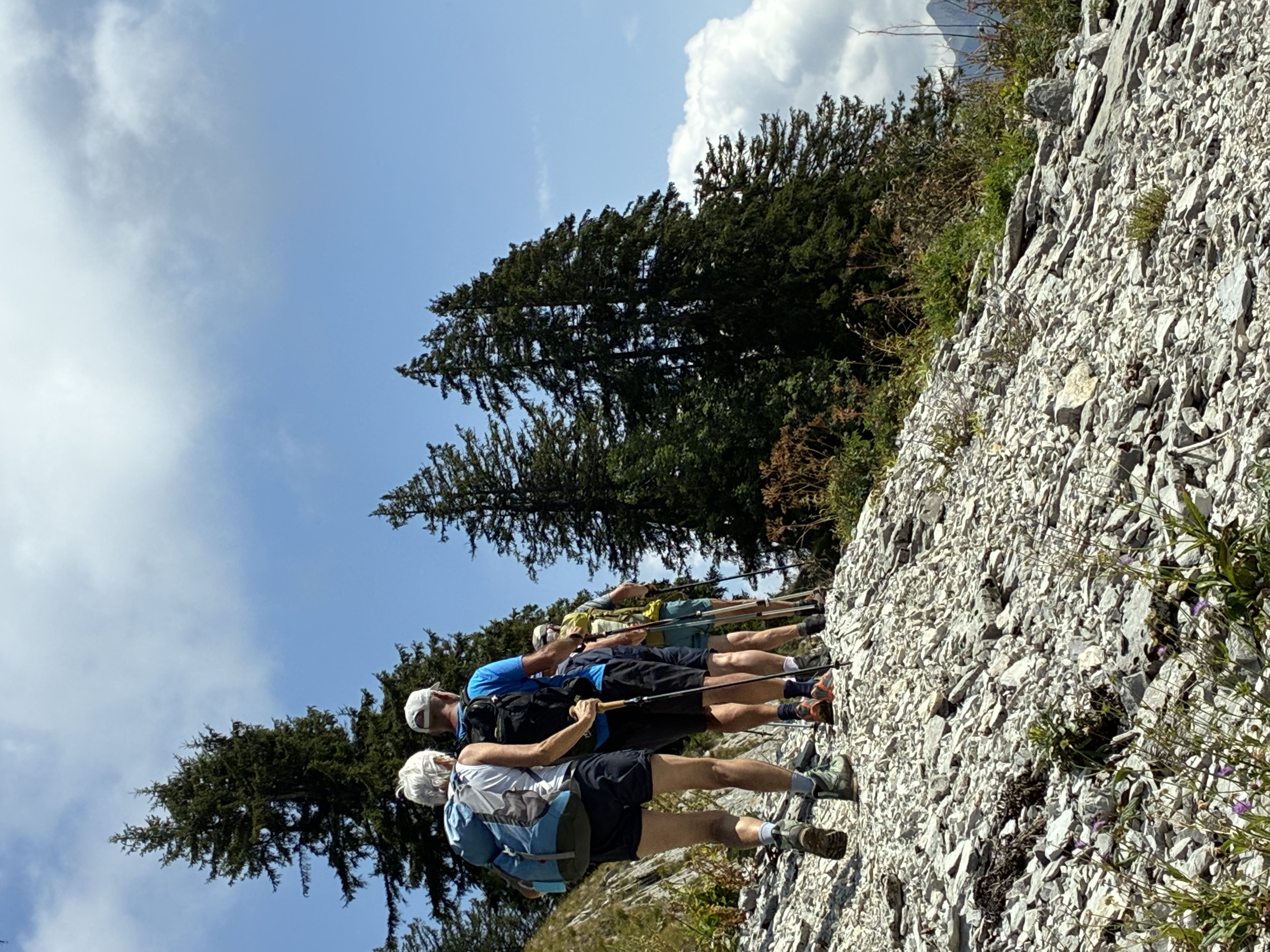 photo de Dent du Chamois