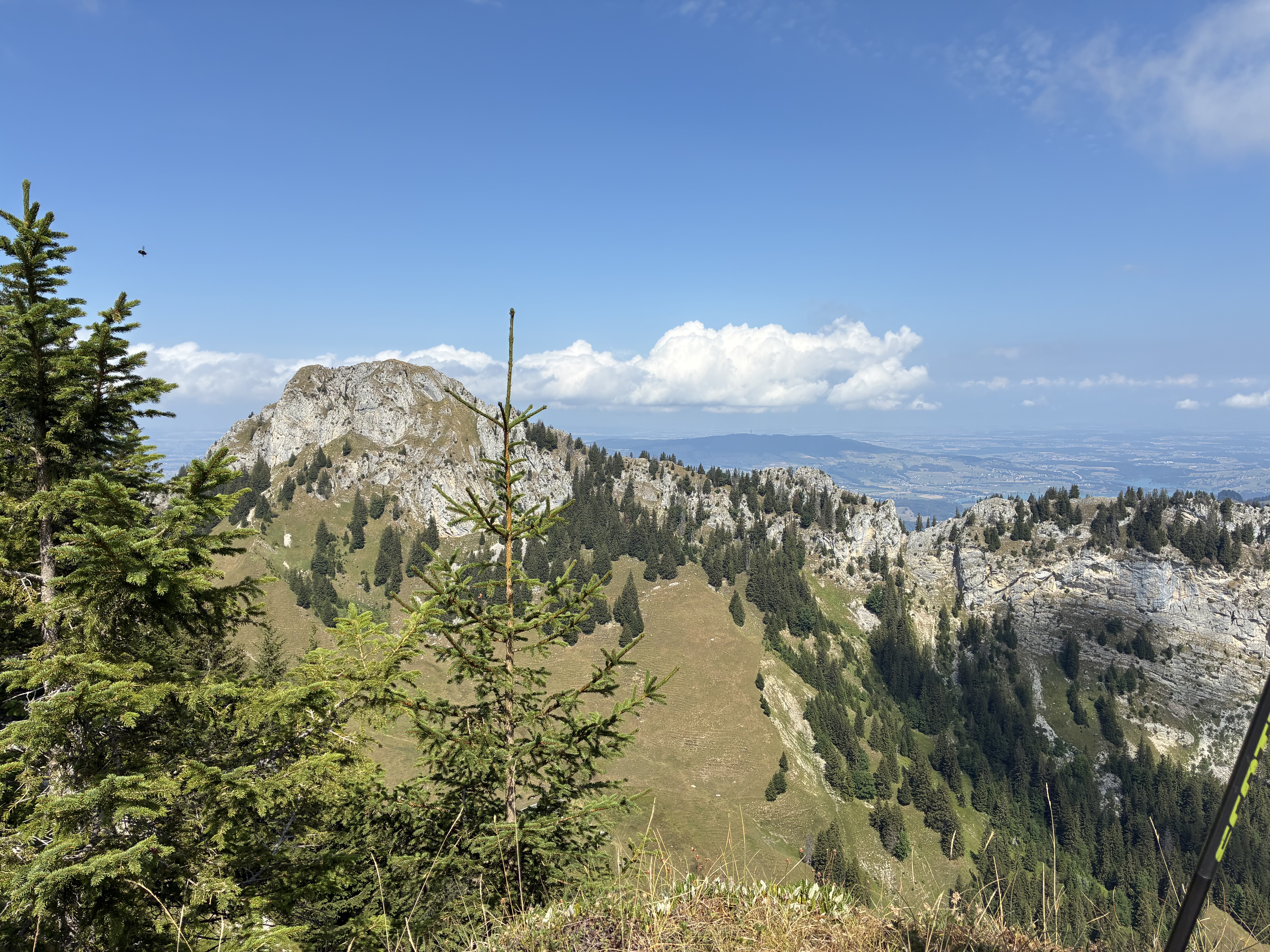photo de Dent du Chamois