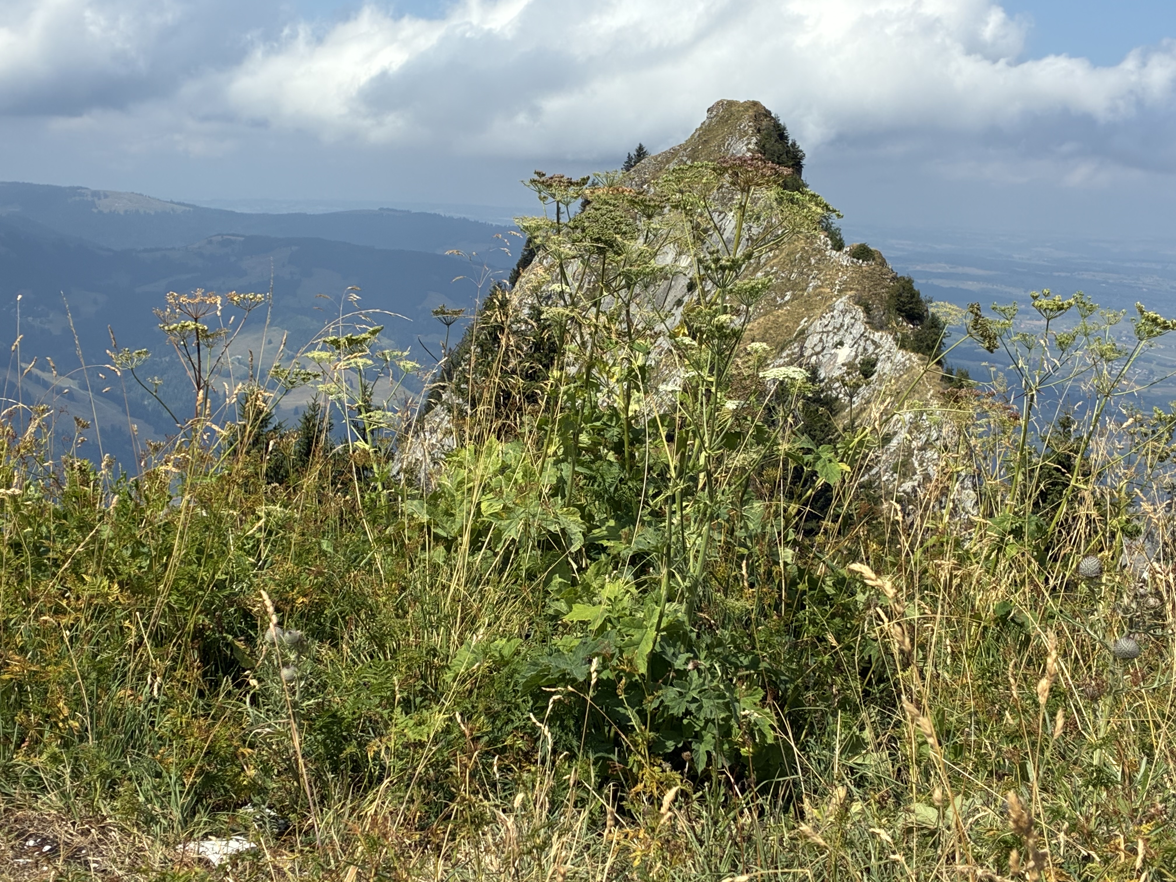 photo de Dent du Chamois