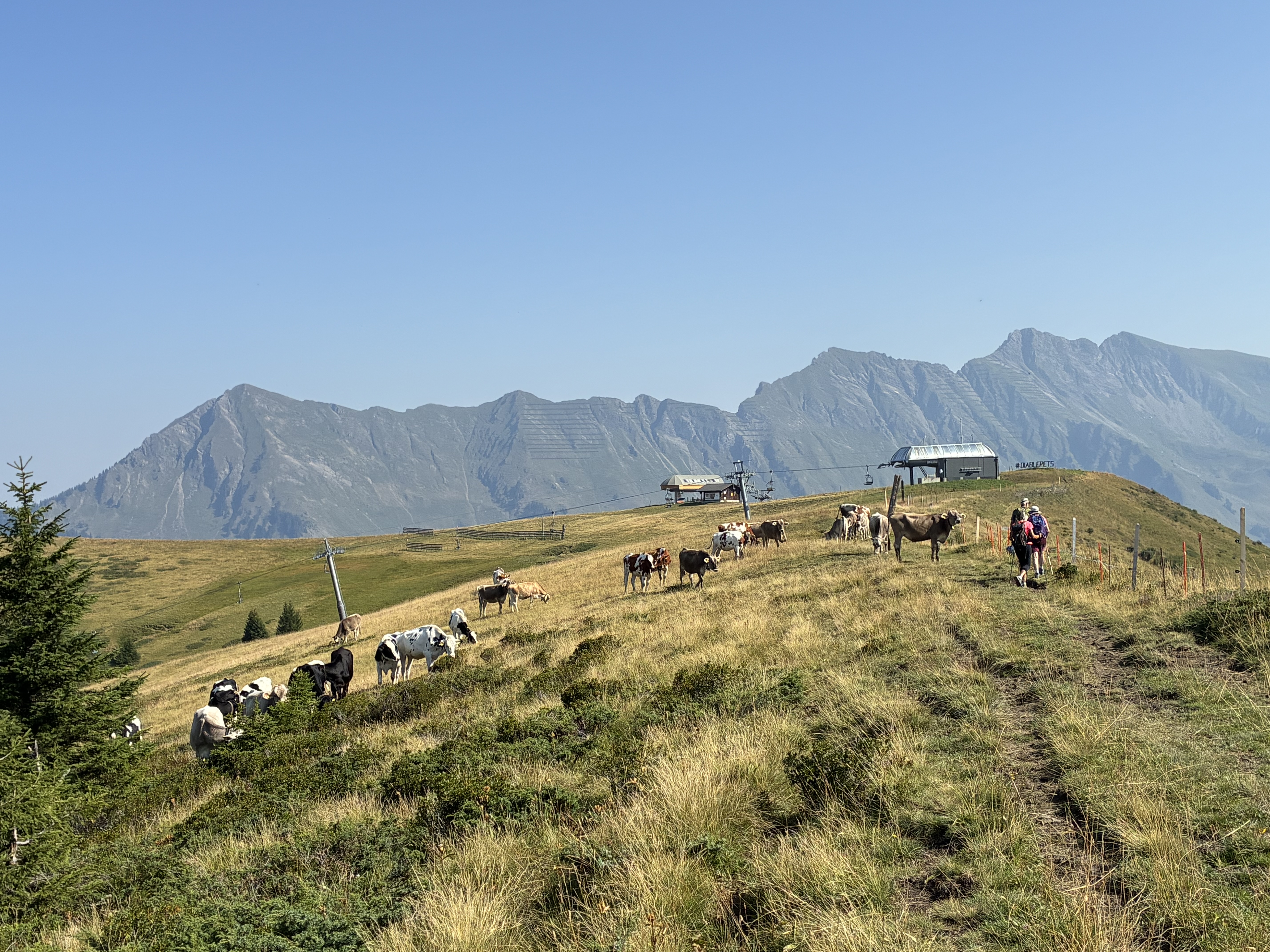 photo de Col d'Encrène