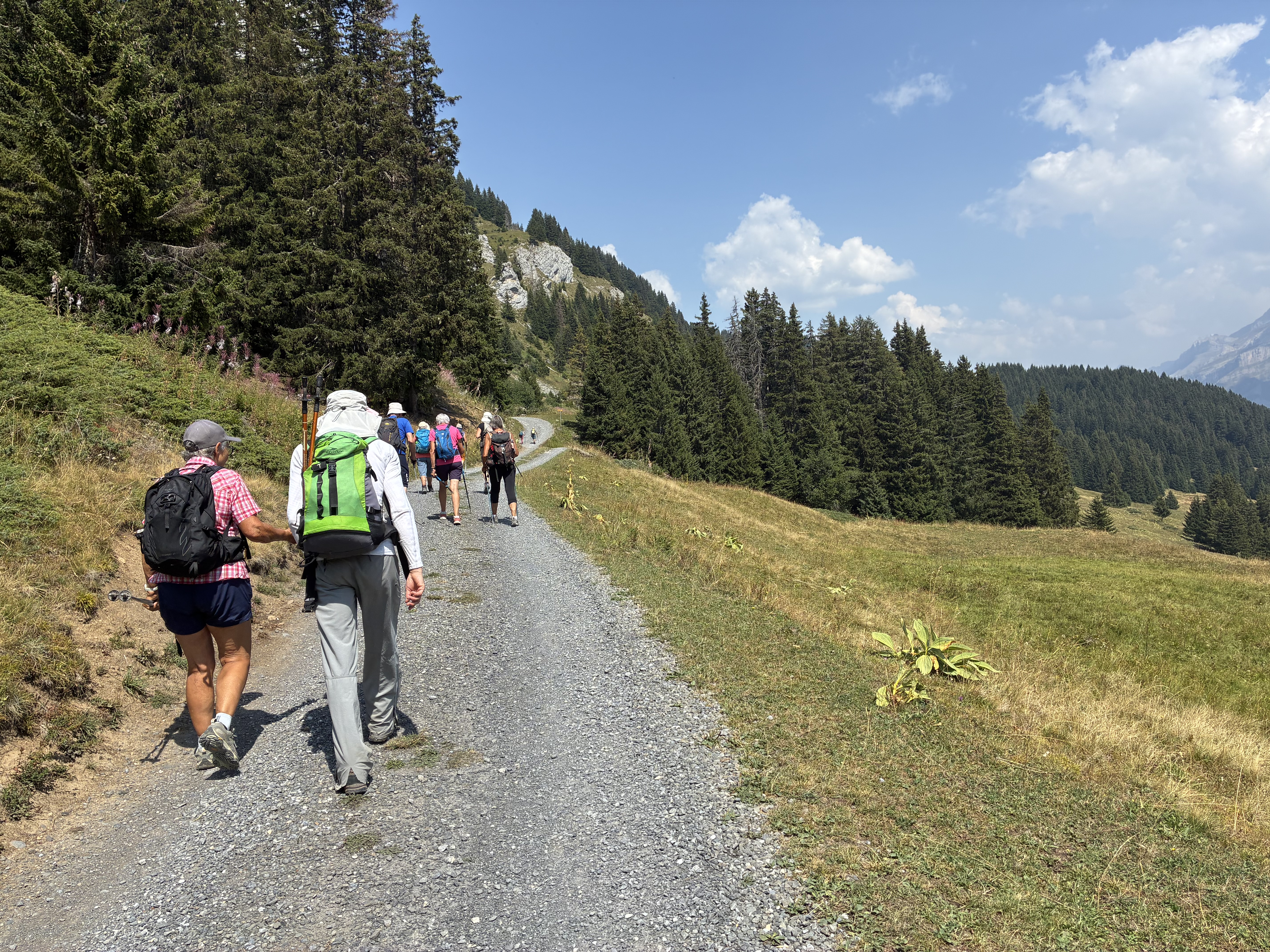 photo de Col d'Encrène