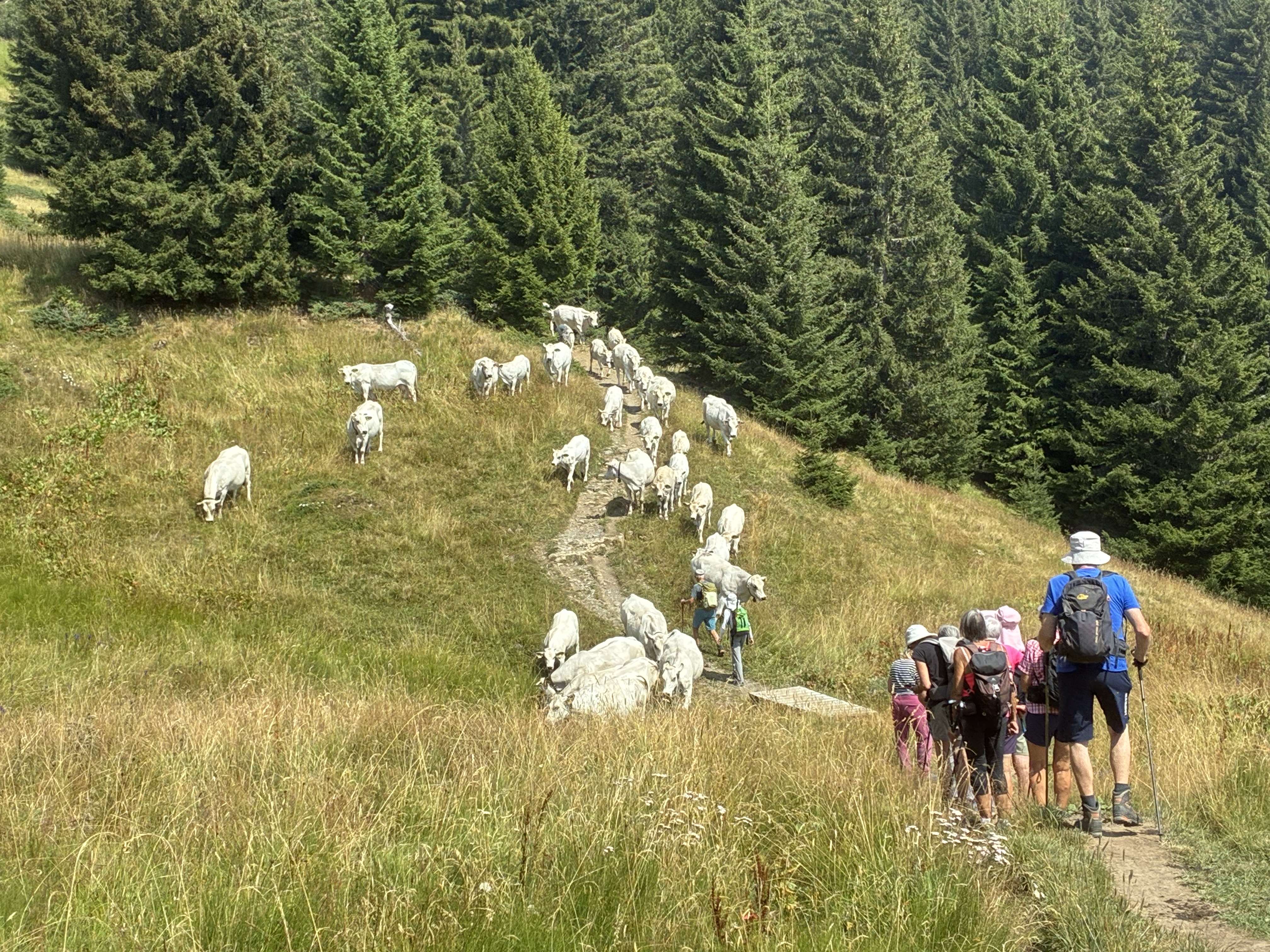 photo de Col d'Encrène