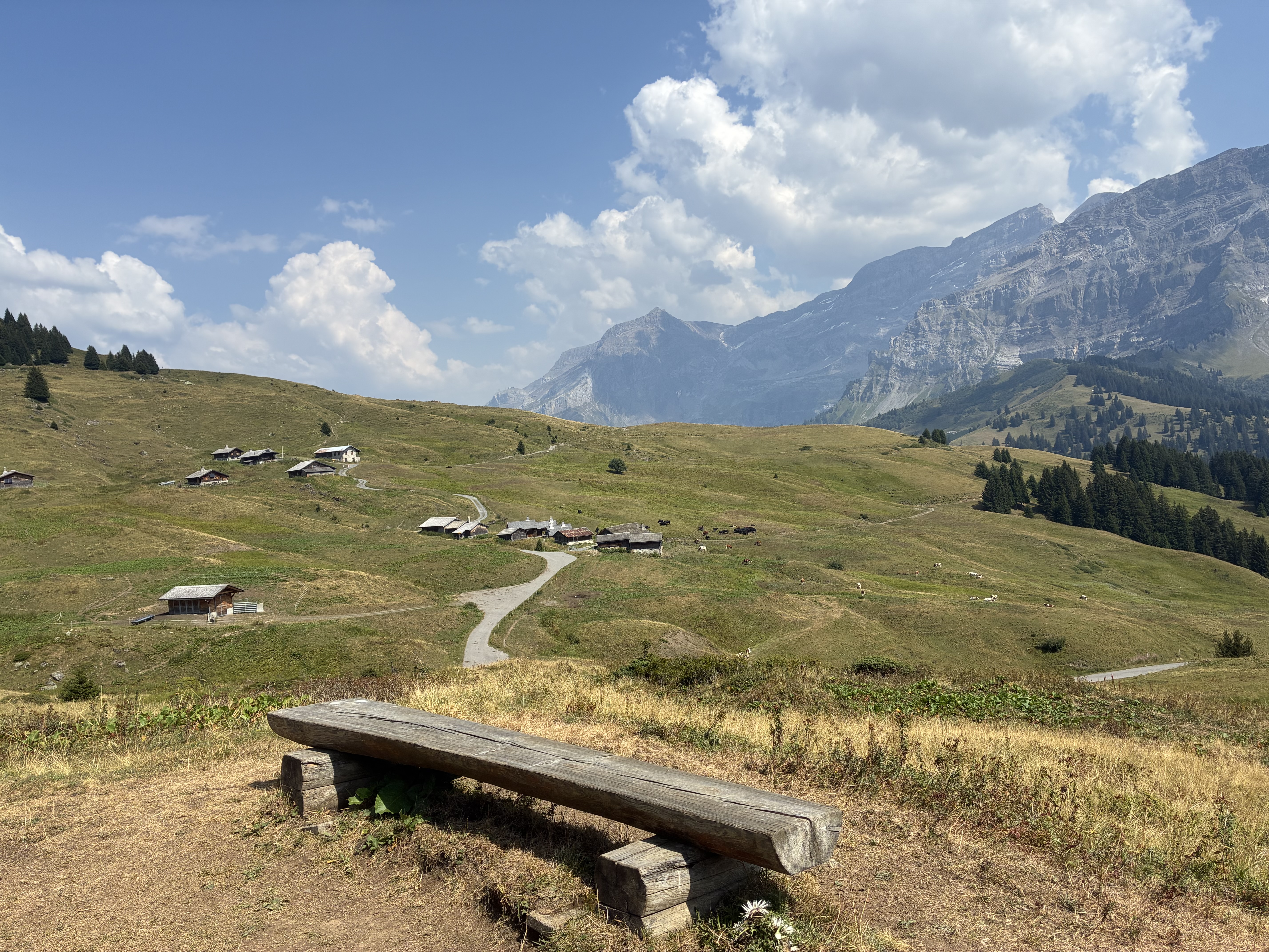 photo de Col d'Encrène
