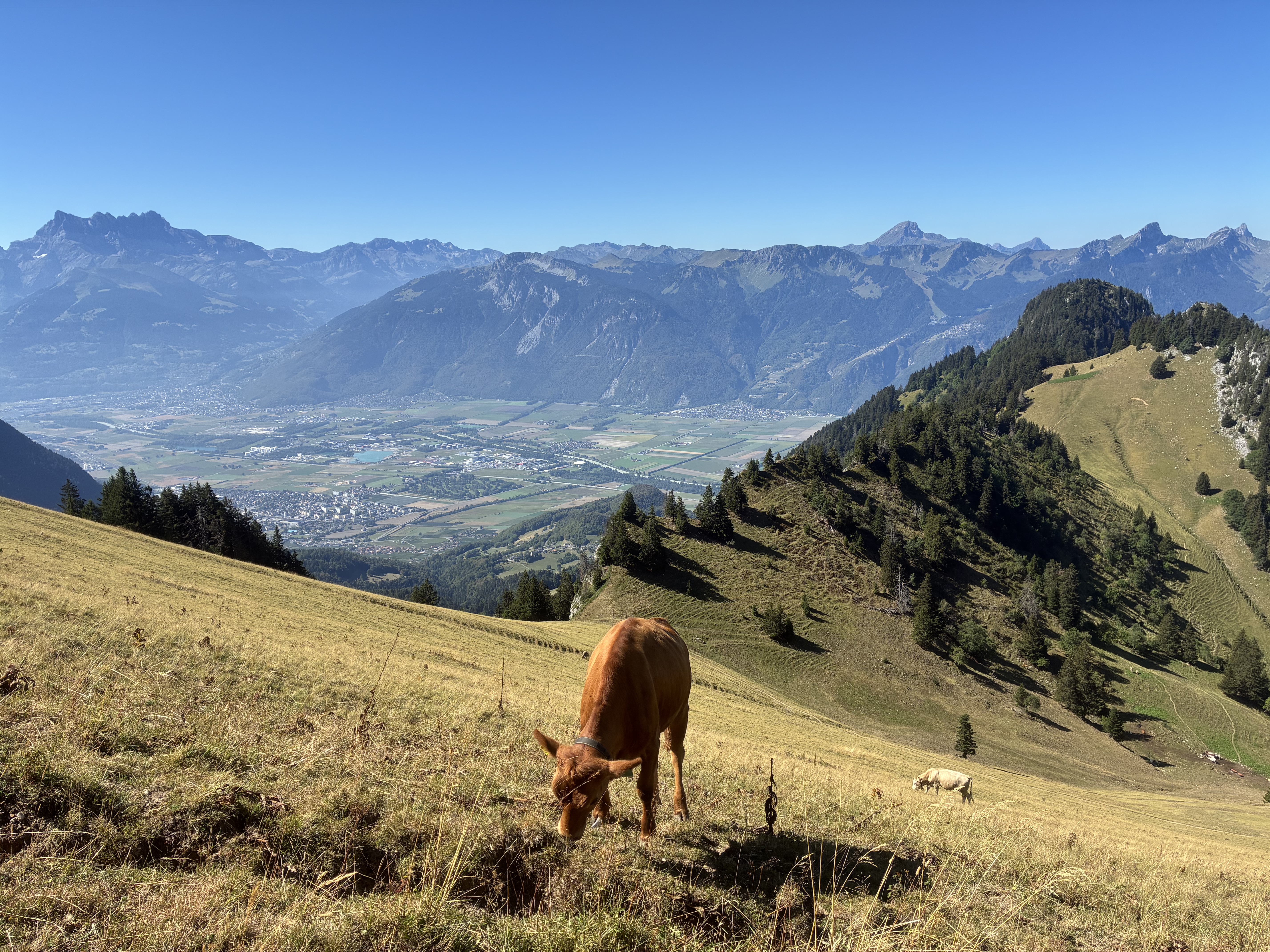 photo de Chaux de Mont (d'Aï)