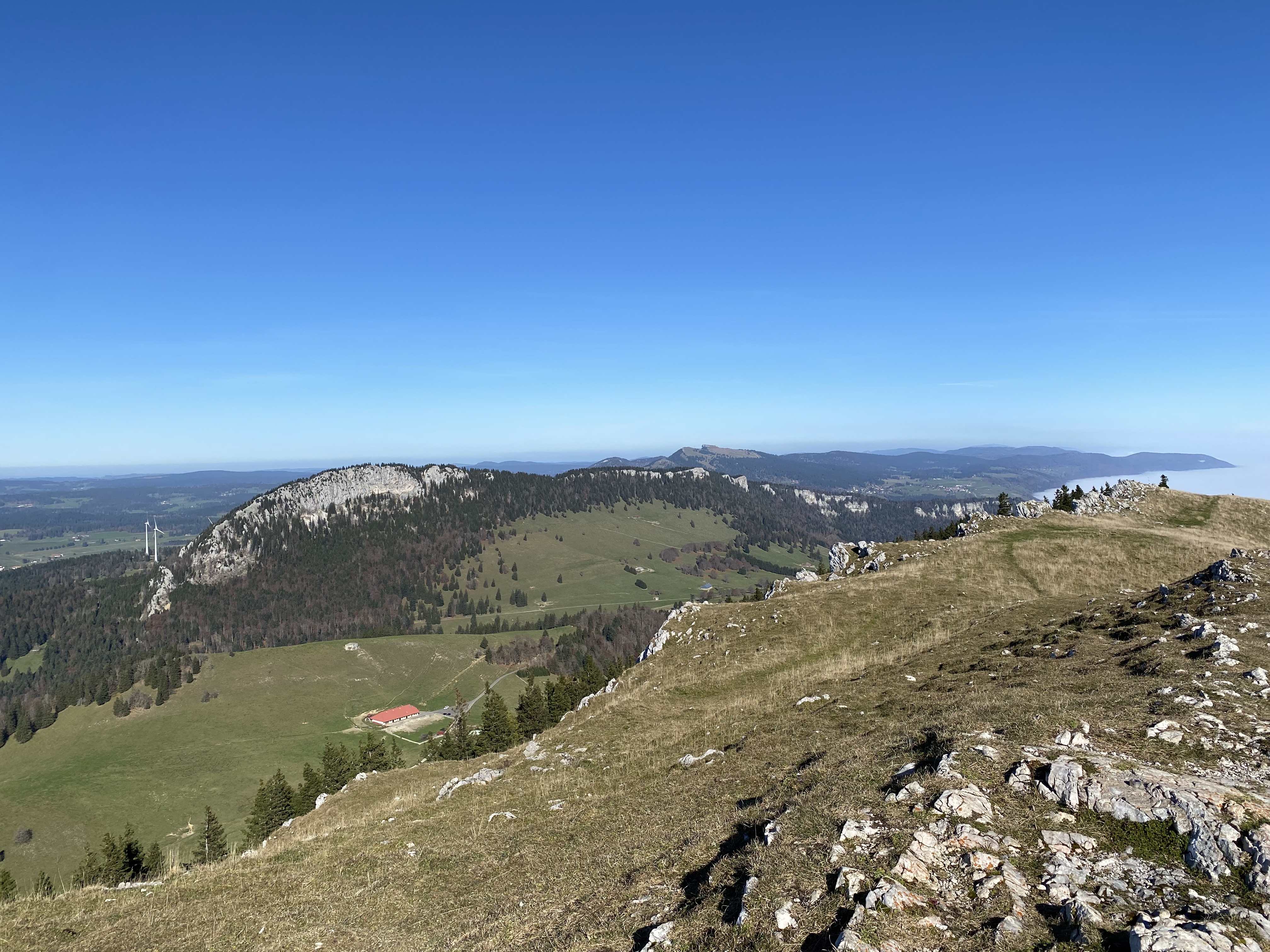 photo de Suchet (Le)