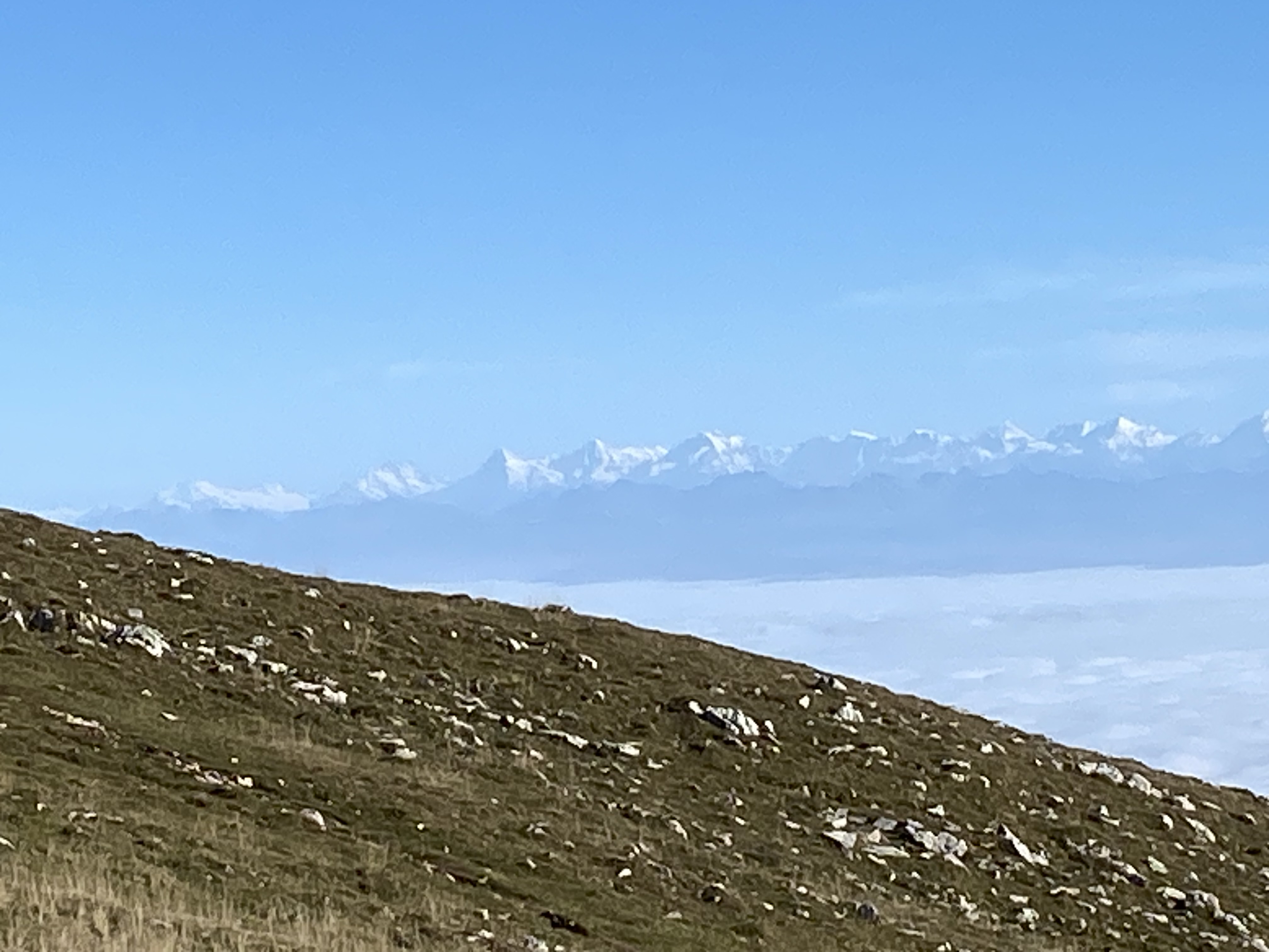 photo de Suchet (Le)