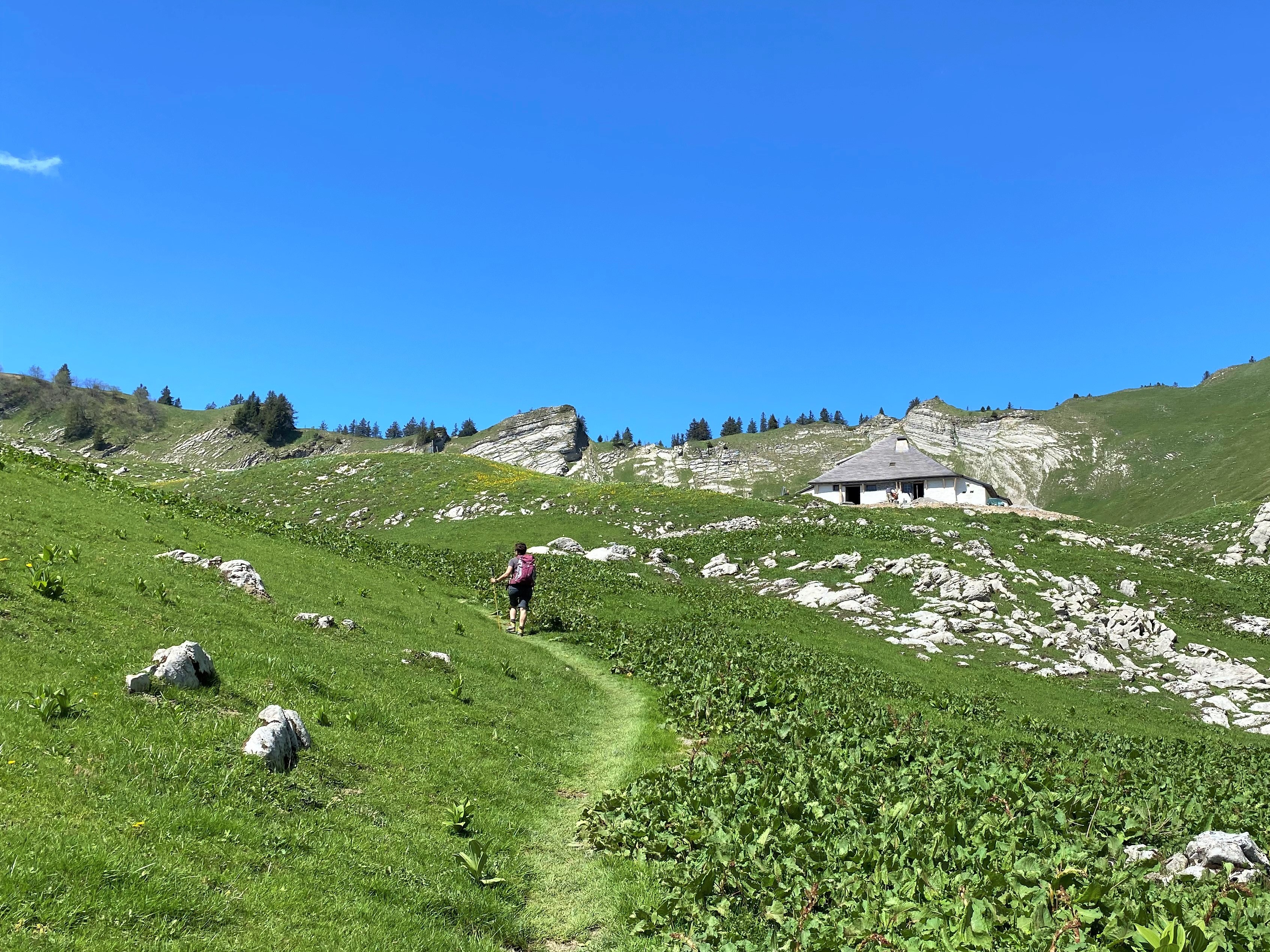 photo de Col de Lys