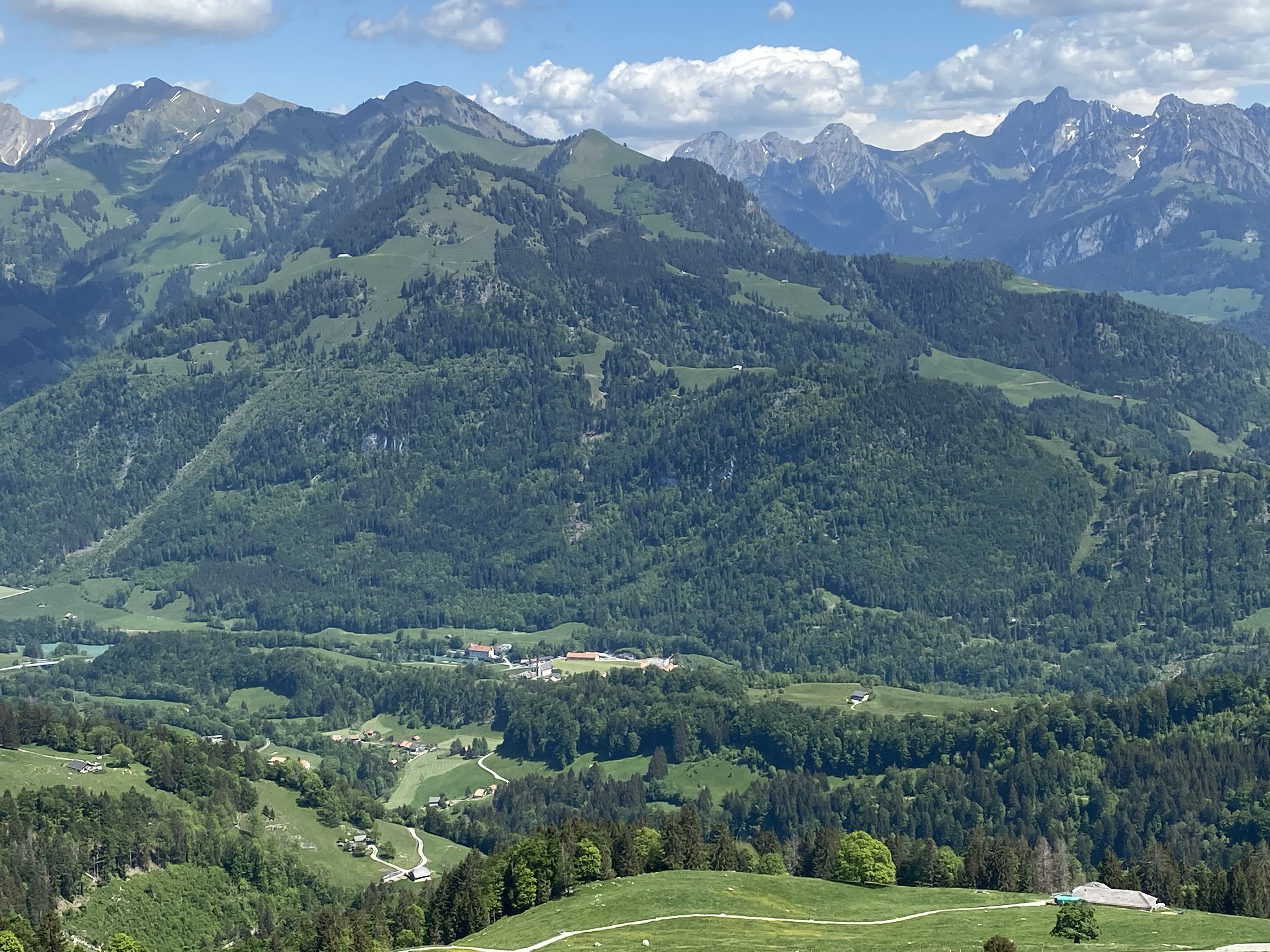 Vue sur Montbovon et la Pointe de Cray