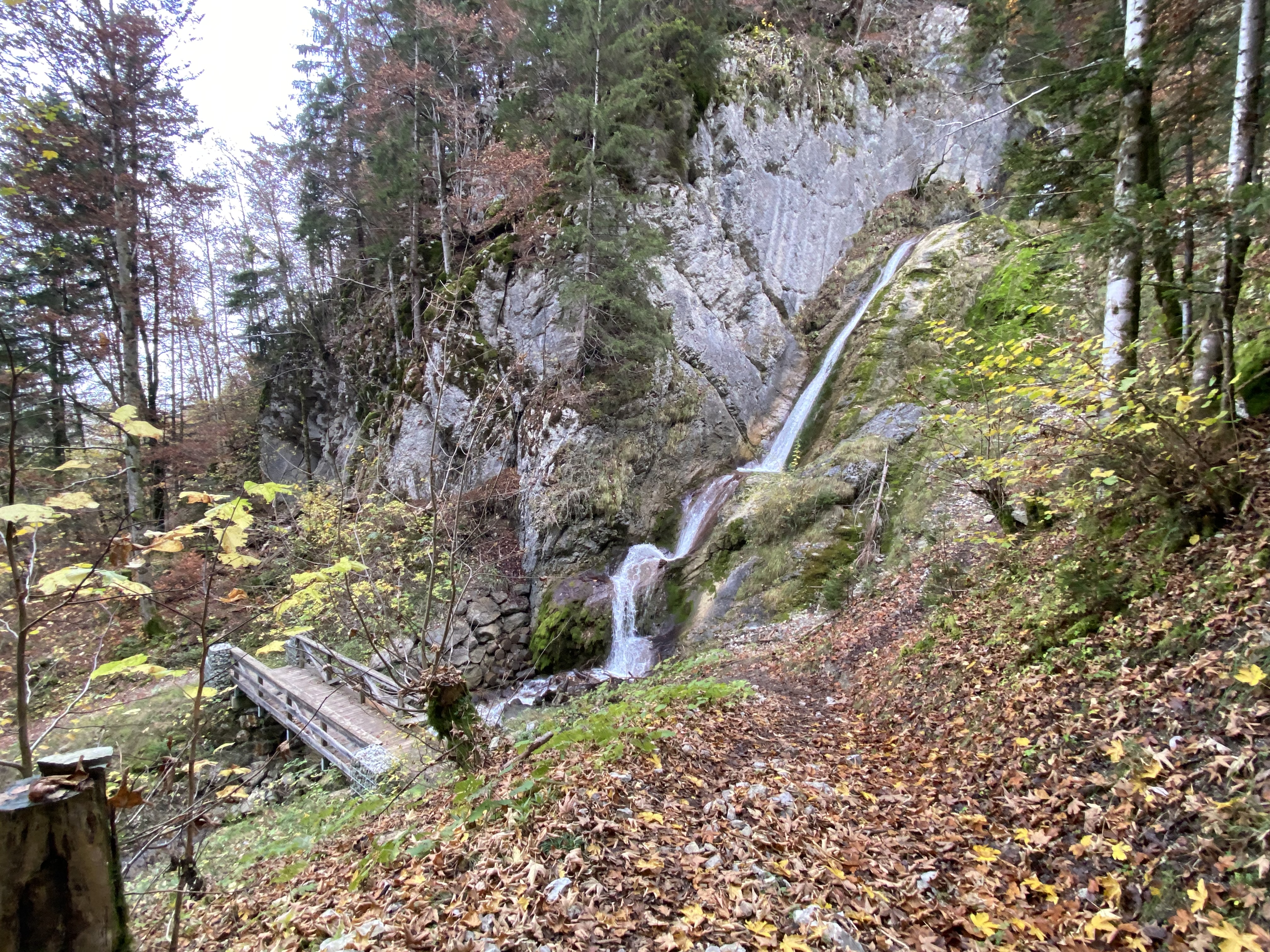 photo de Merlas (Les)