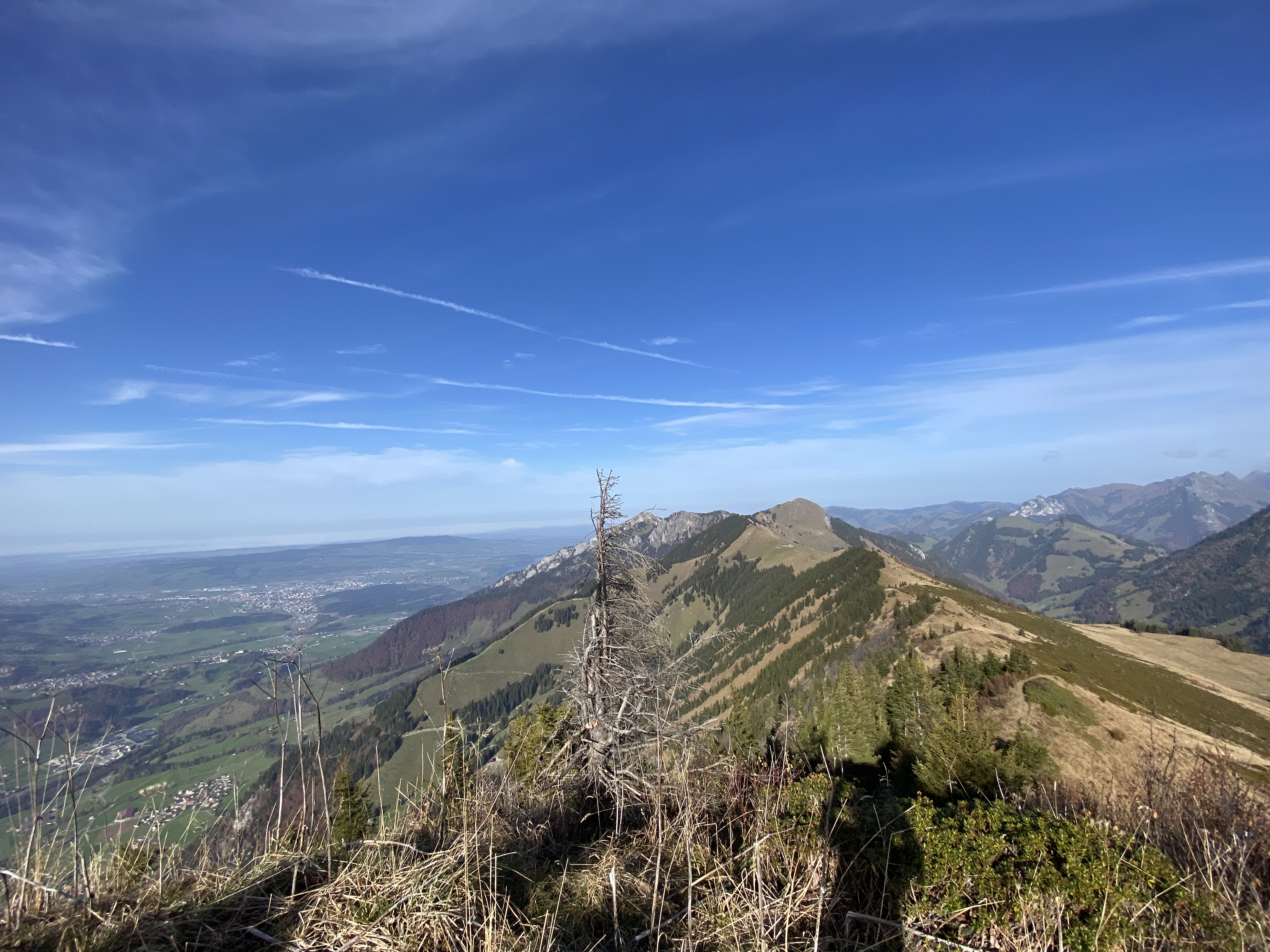 photo de Merlas (Les)