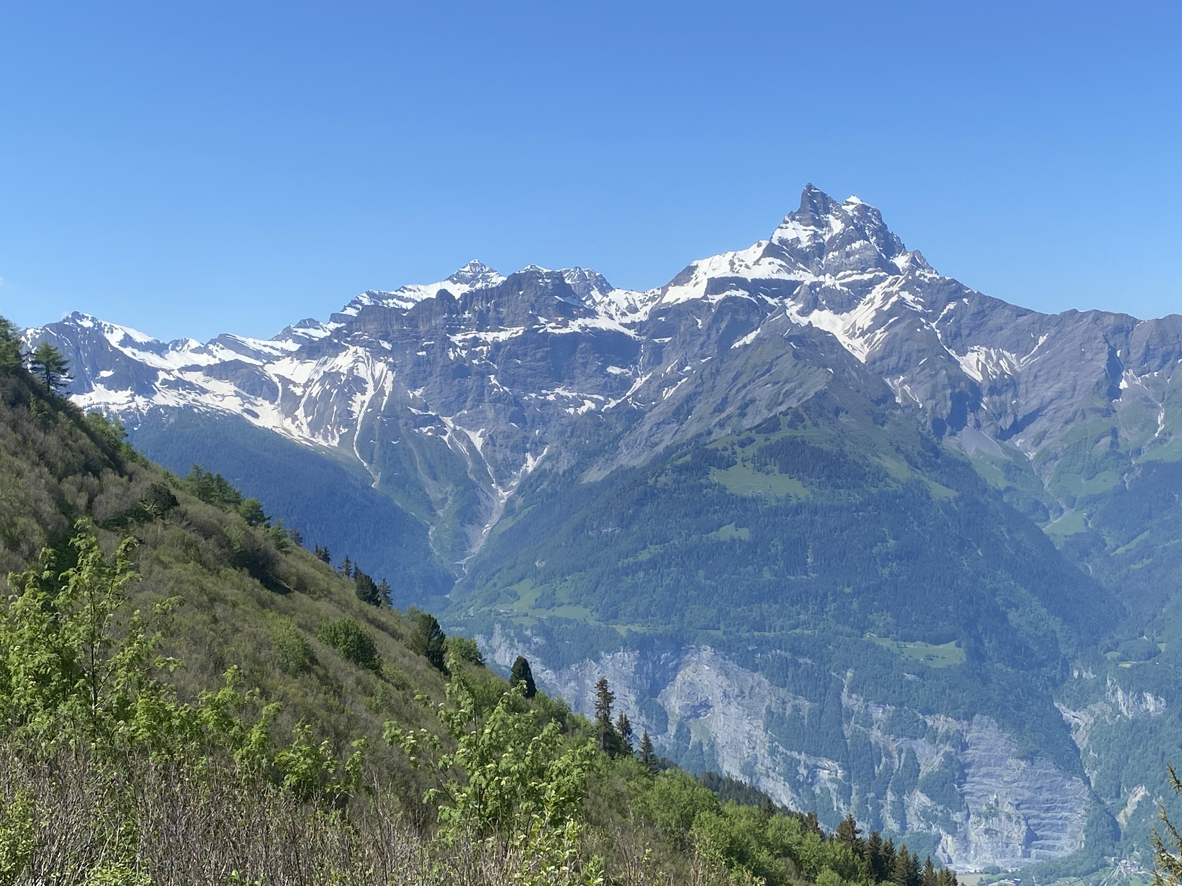 photo de Cabane de La Tourche