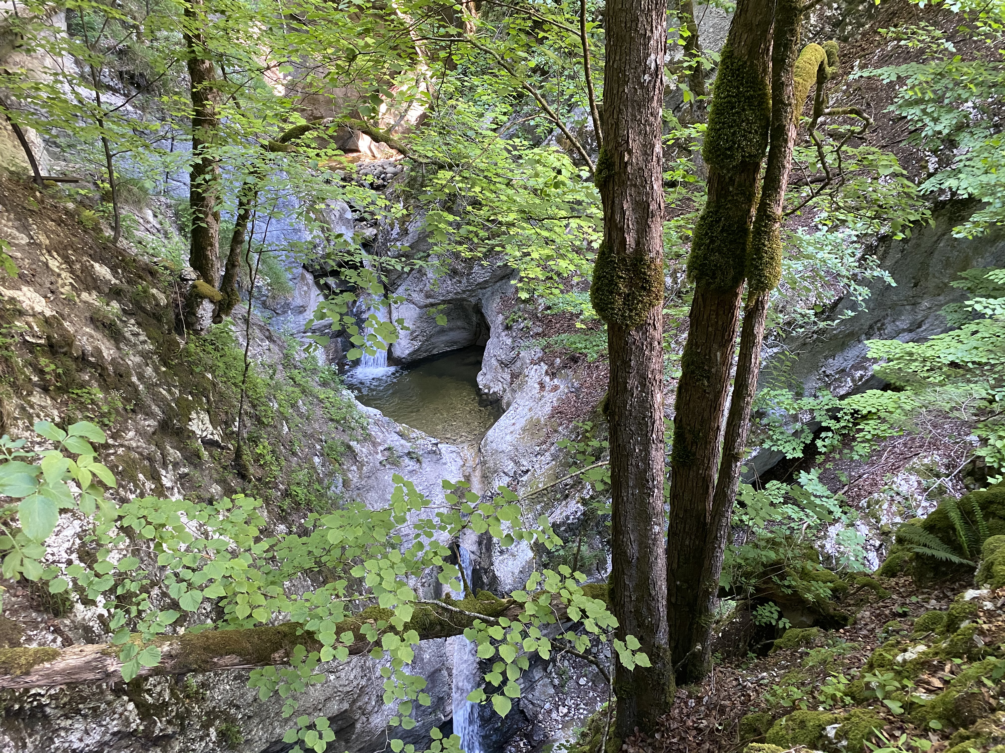 Gorges de Covatanne
