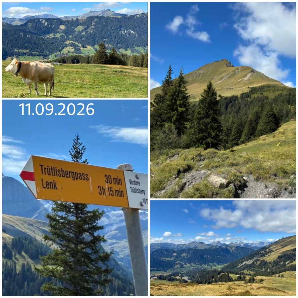photo de Trütlisbergpass