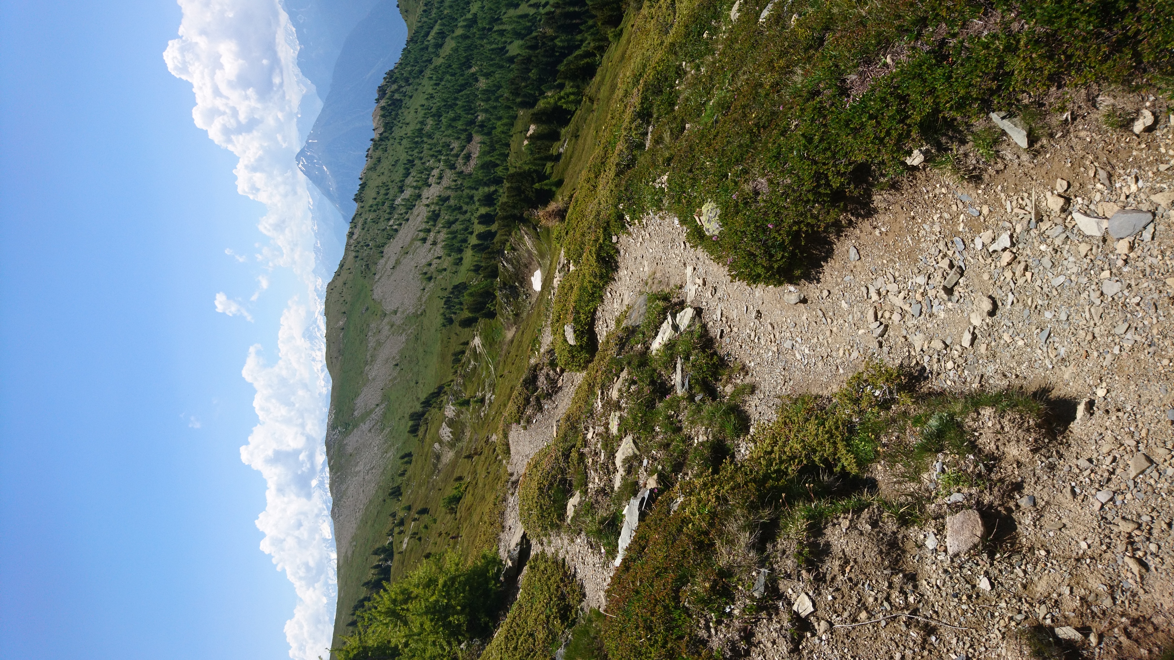 photo de Cabane du Demècre