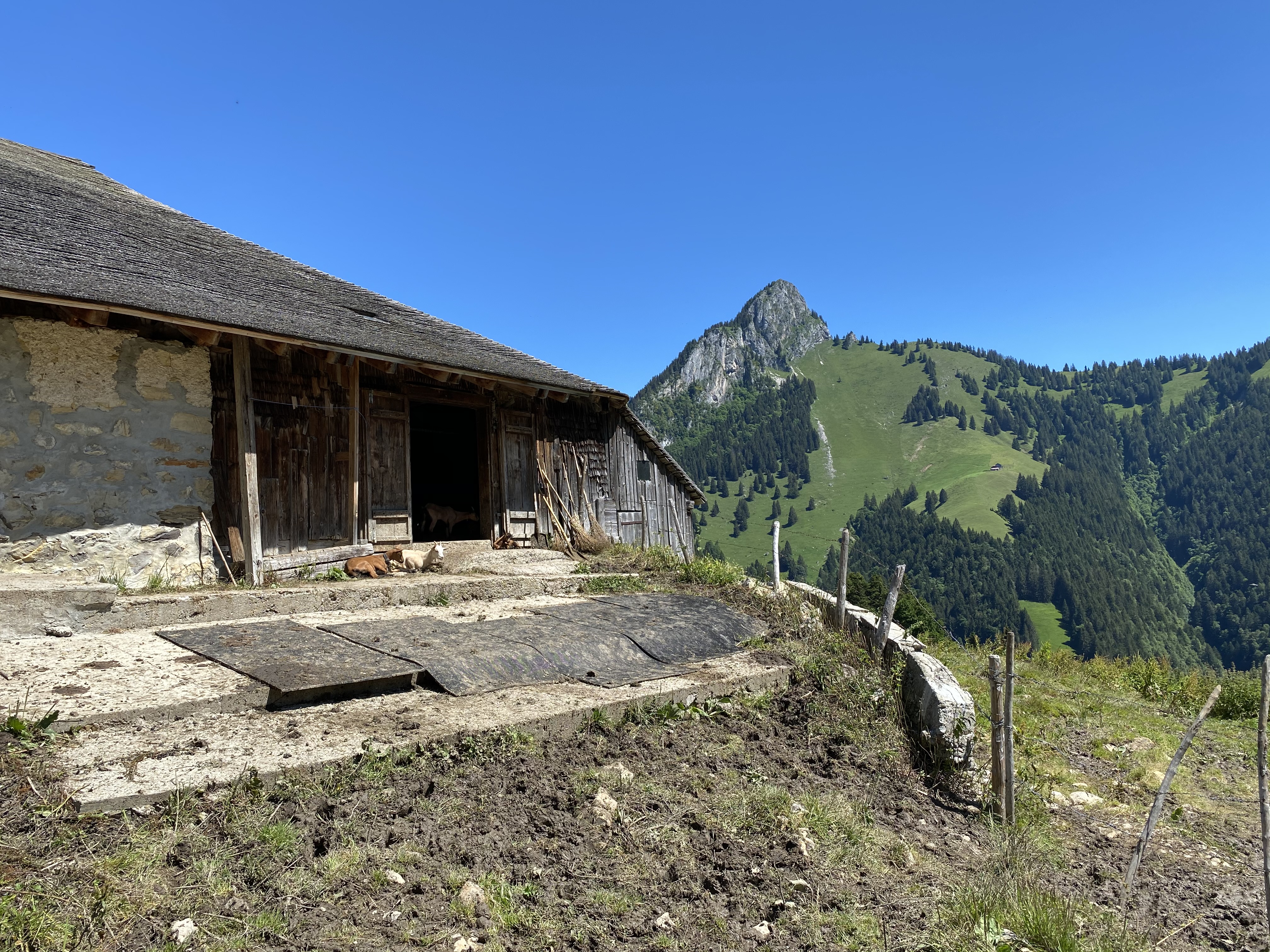 photo de Rochers de Naye