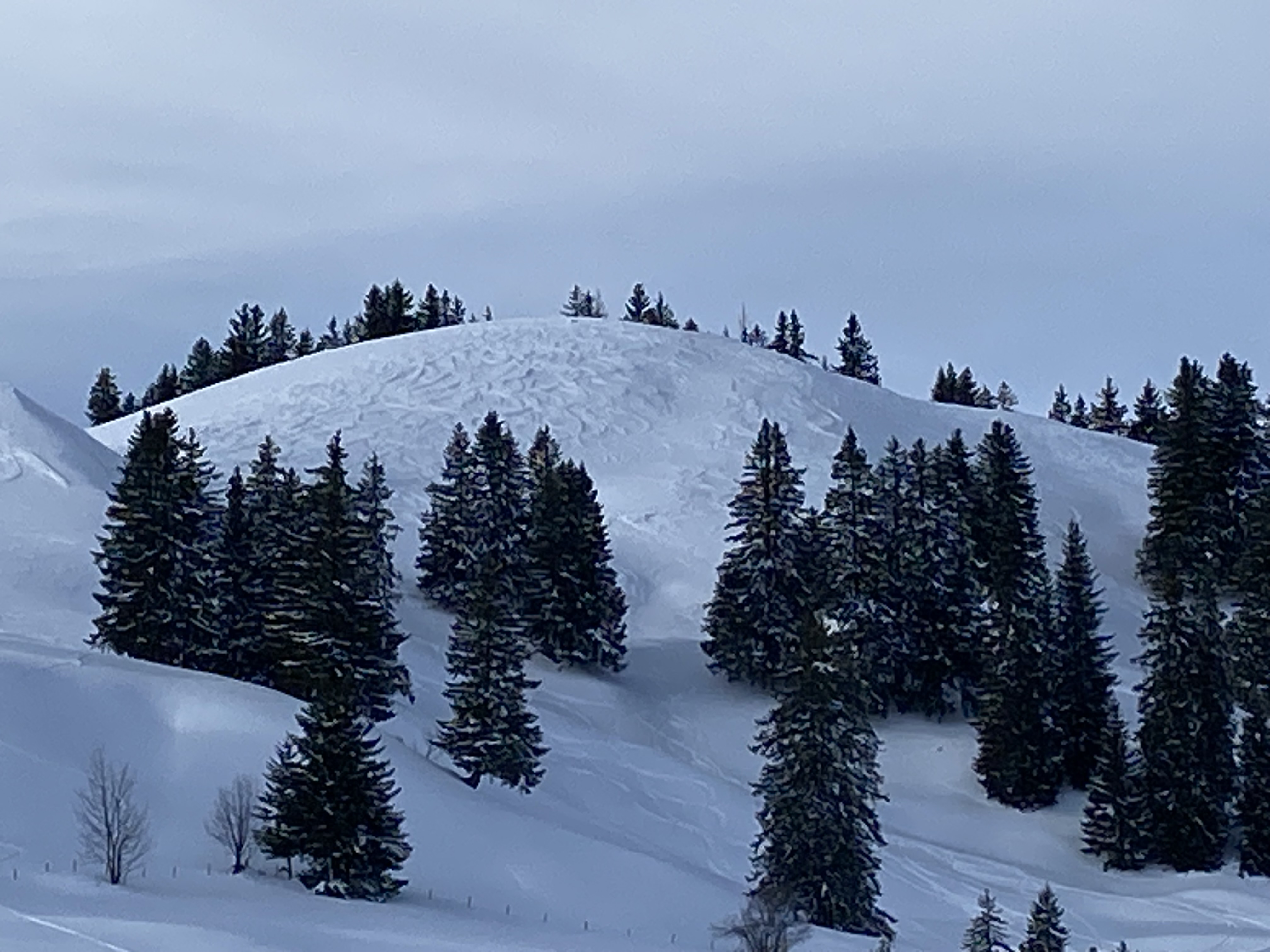 photo de Monts Chevreuils (Les)