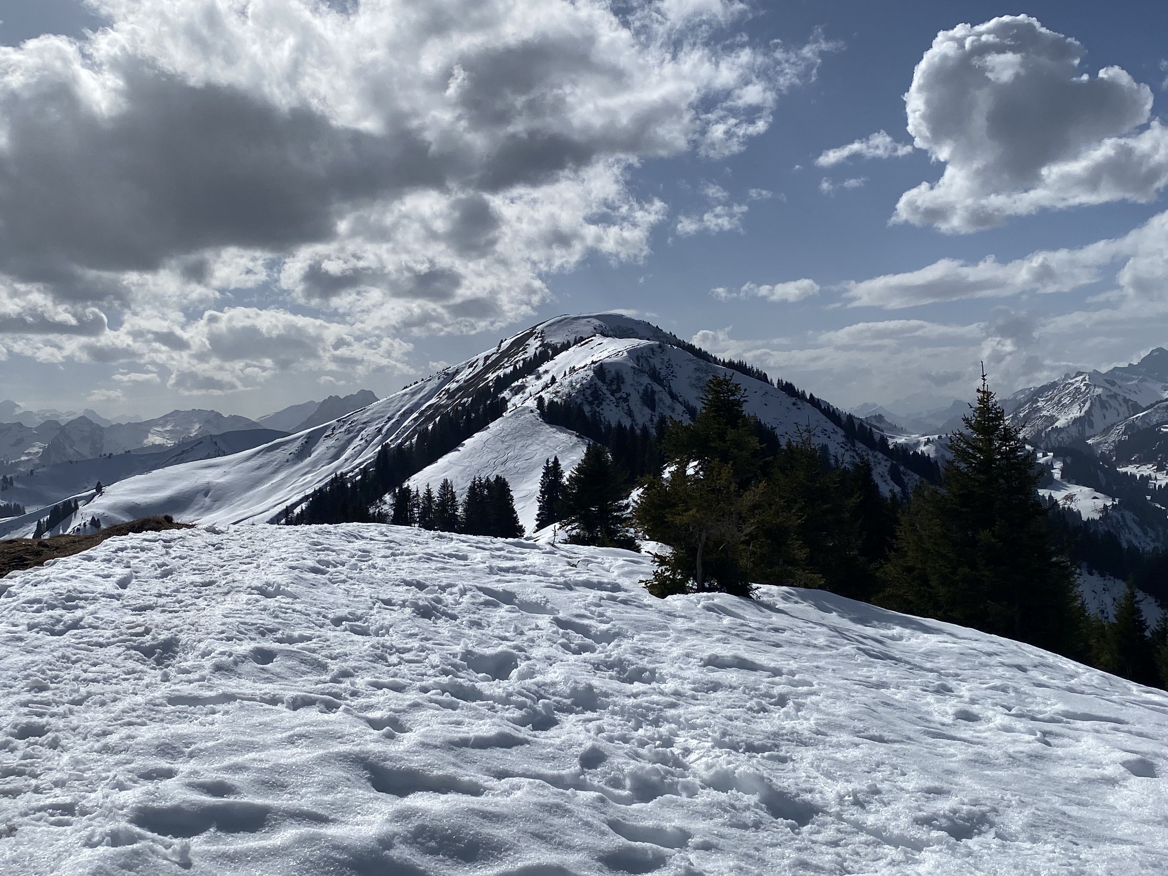 Vue sur le sommet d\'été