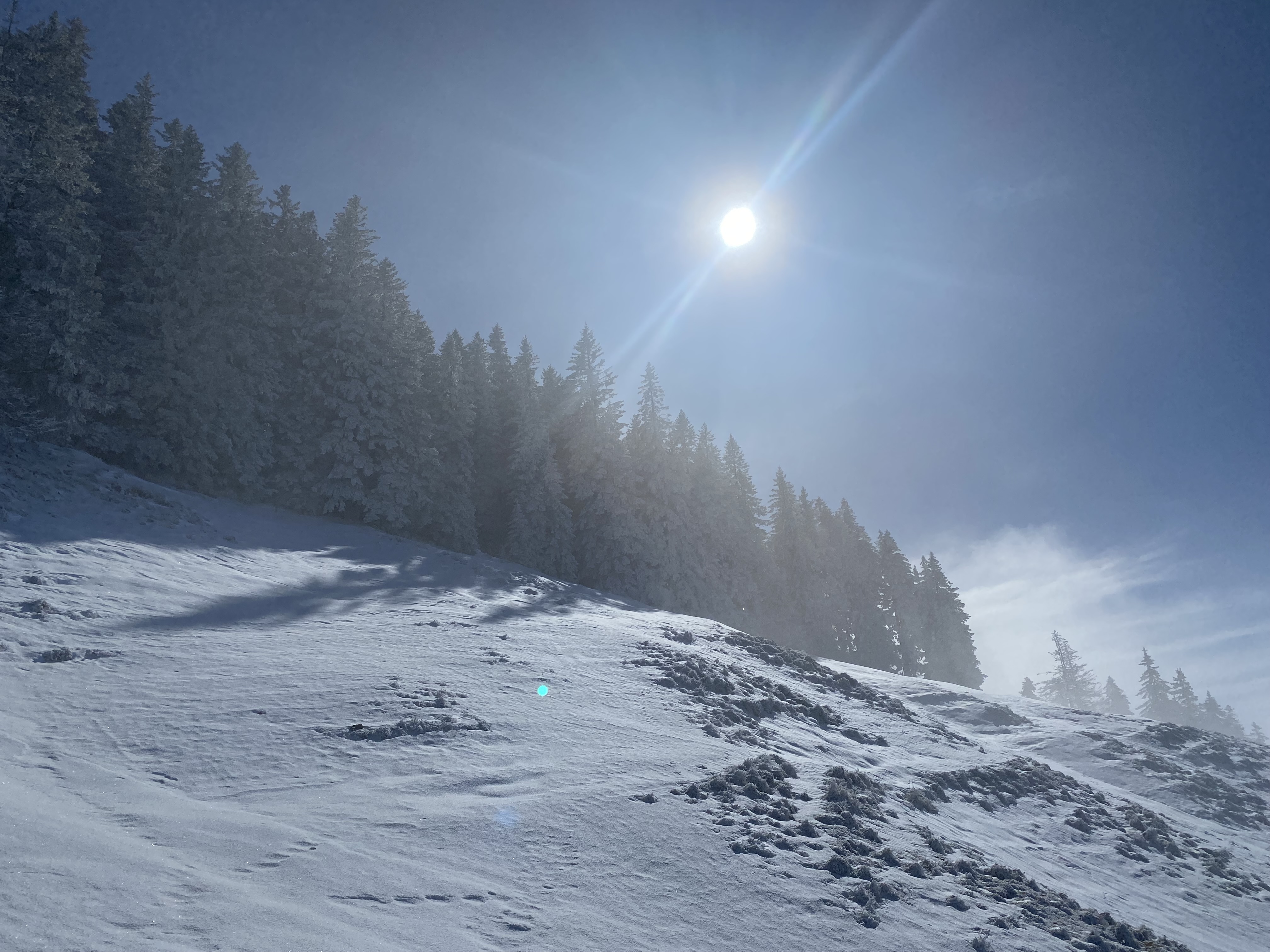 photo de Cousimbert (Le)