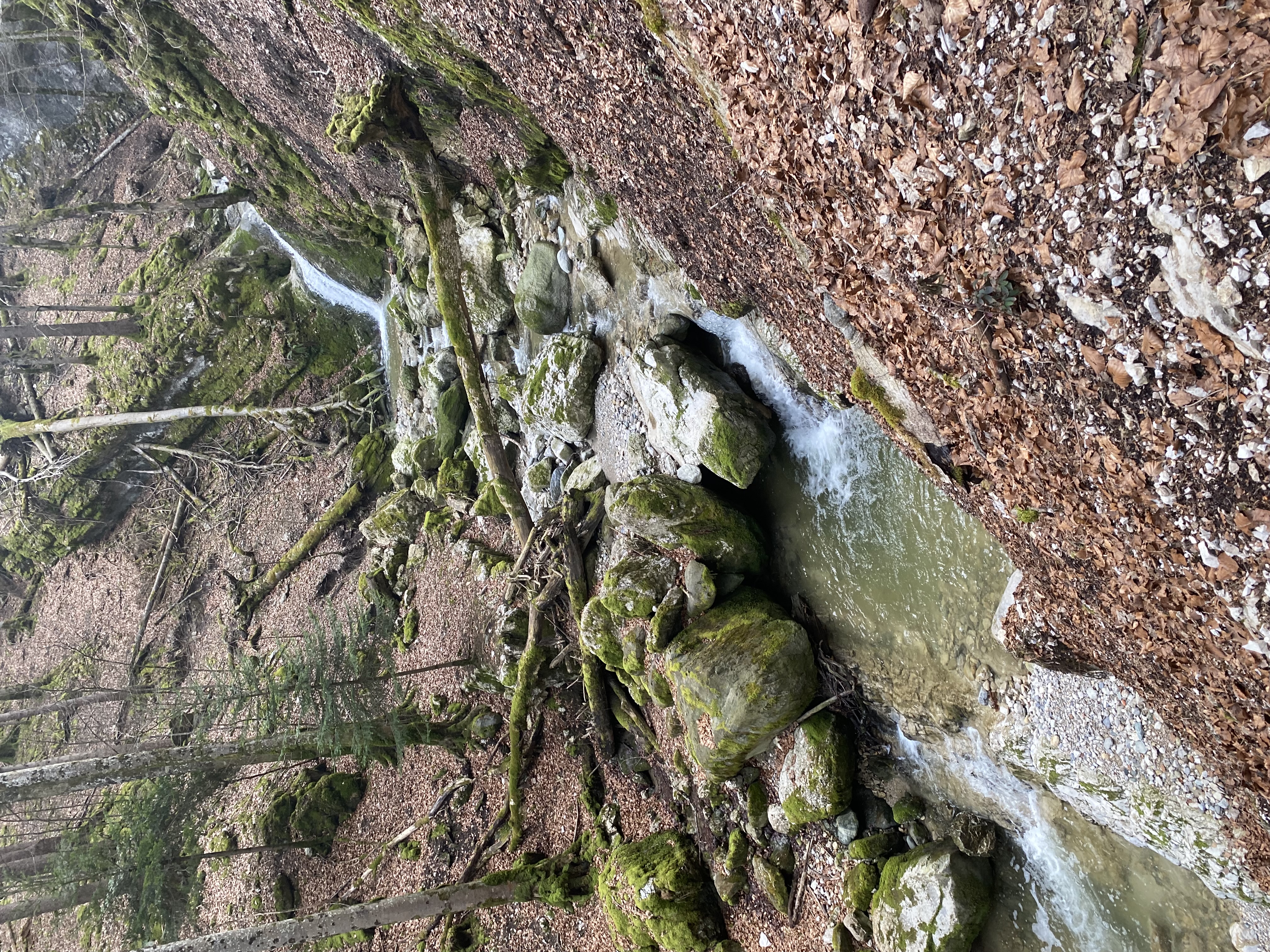 Dans les Gorges de Covatanne 