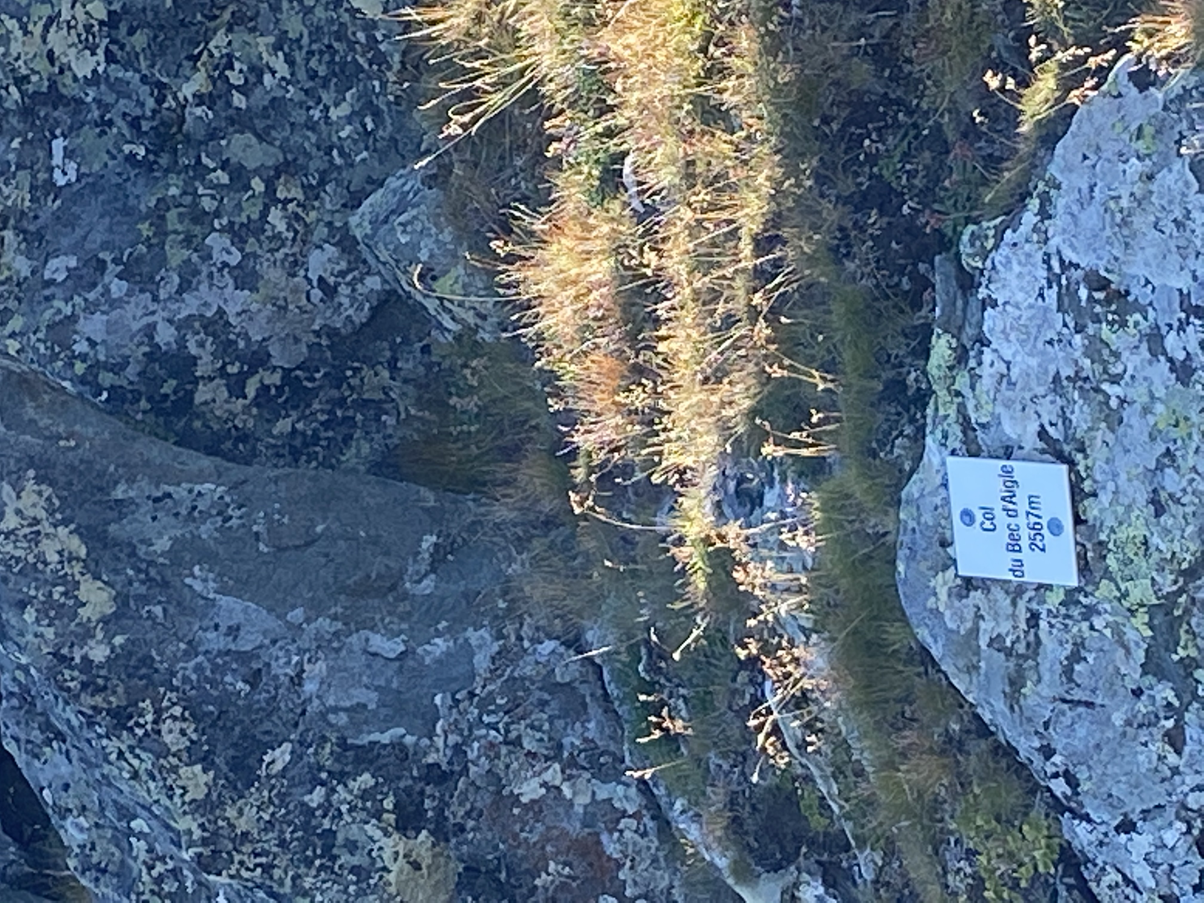 photo de Col de Sarshlau