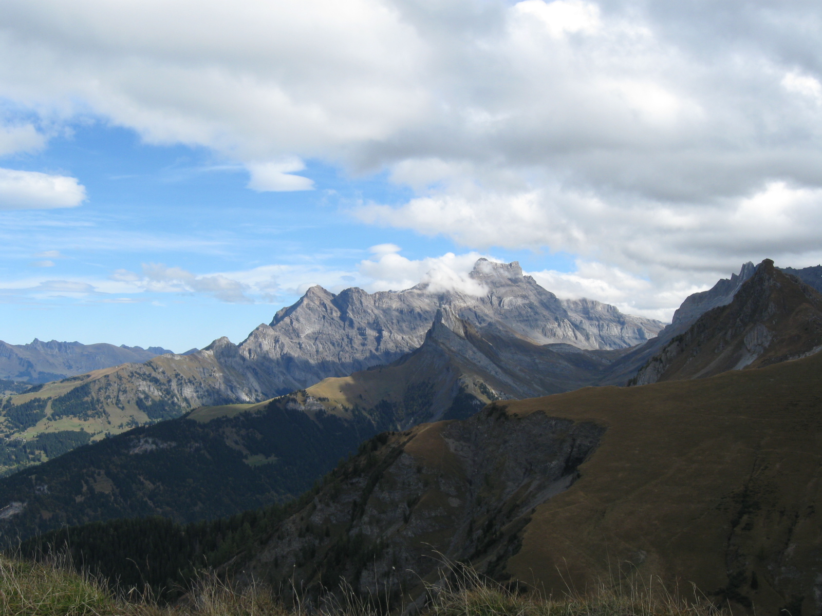 photo de Cabane de La Tourche