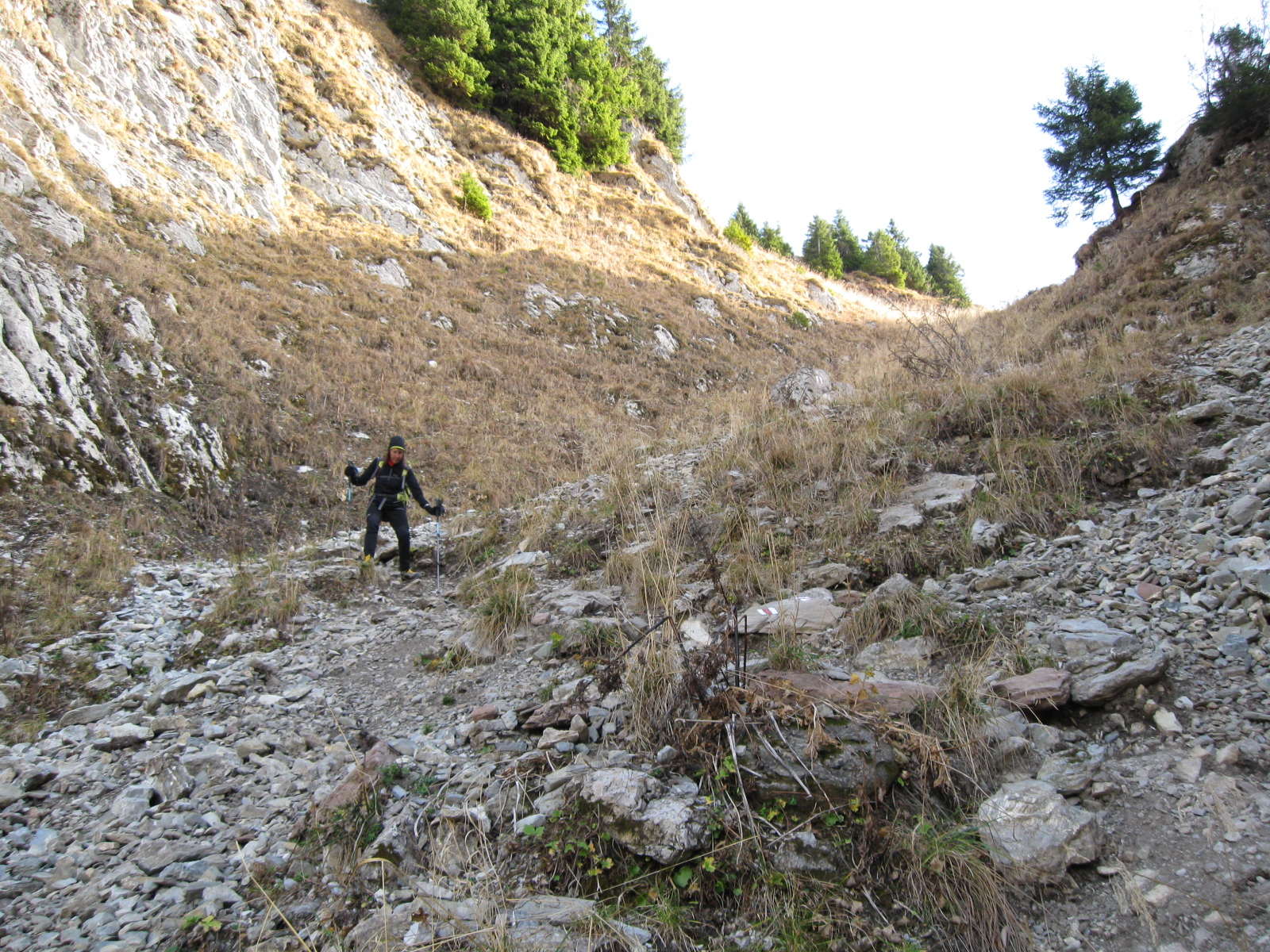 photo de Rochers de Naye