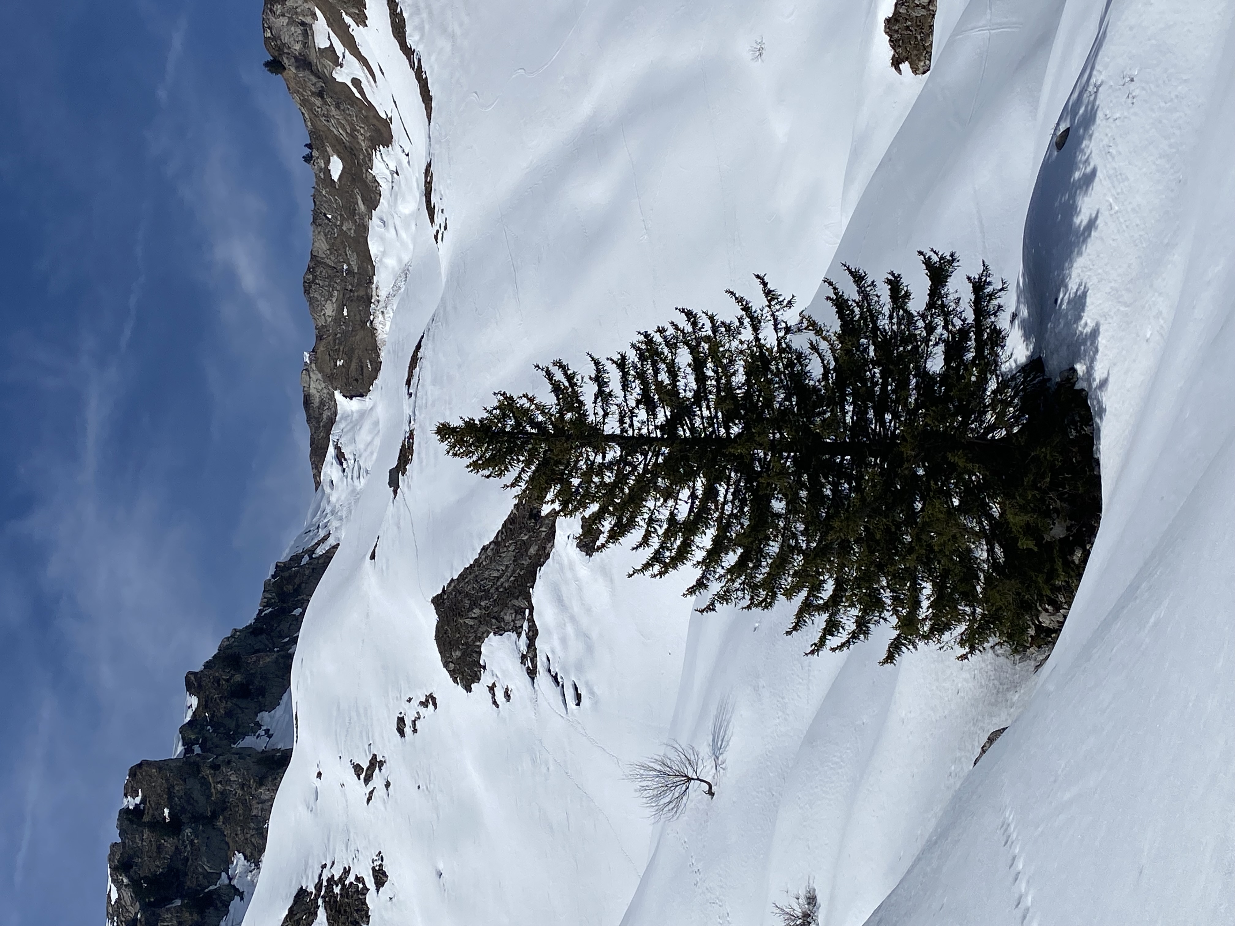photo de Joux des Heures