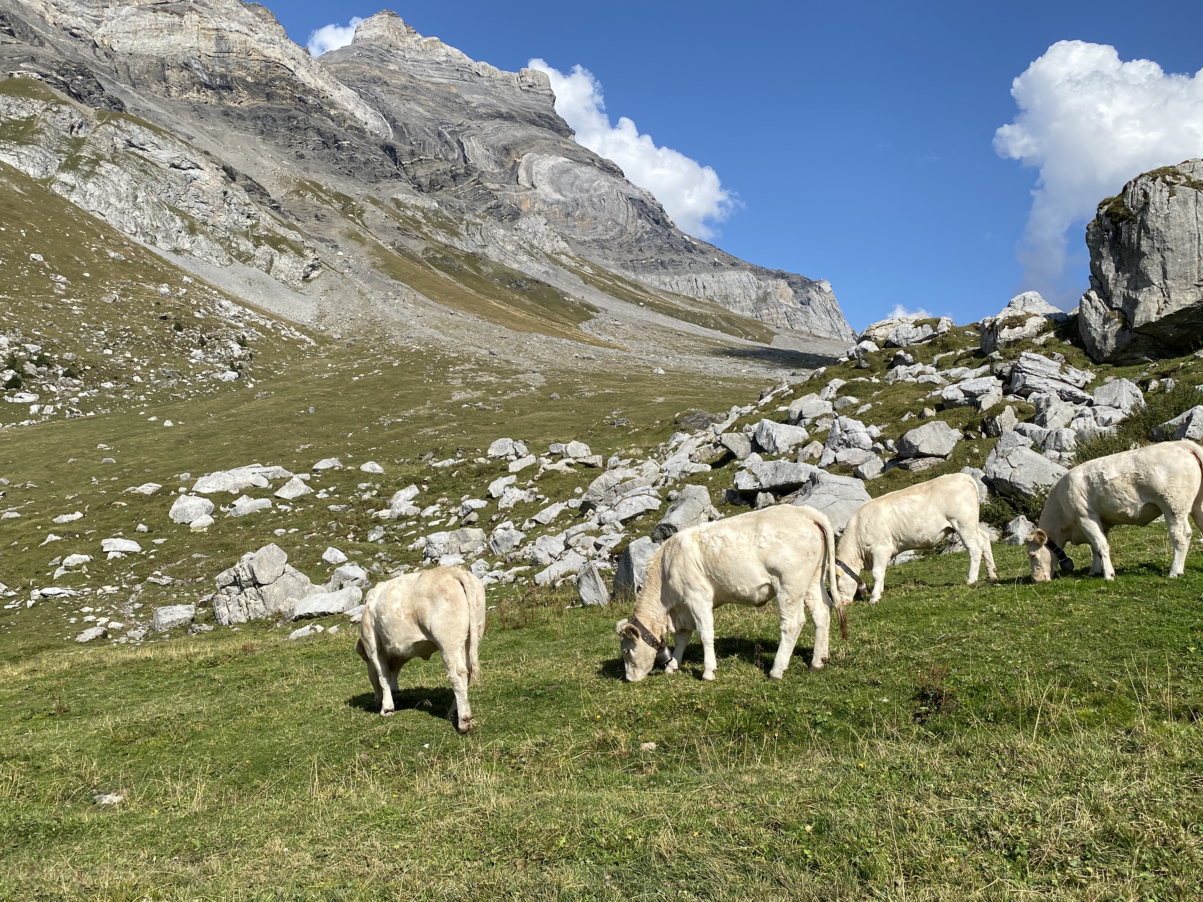 photo de Tour de l'Argentine