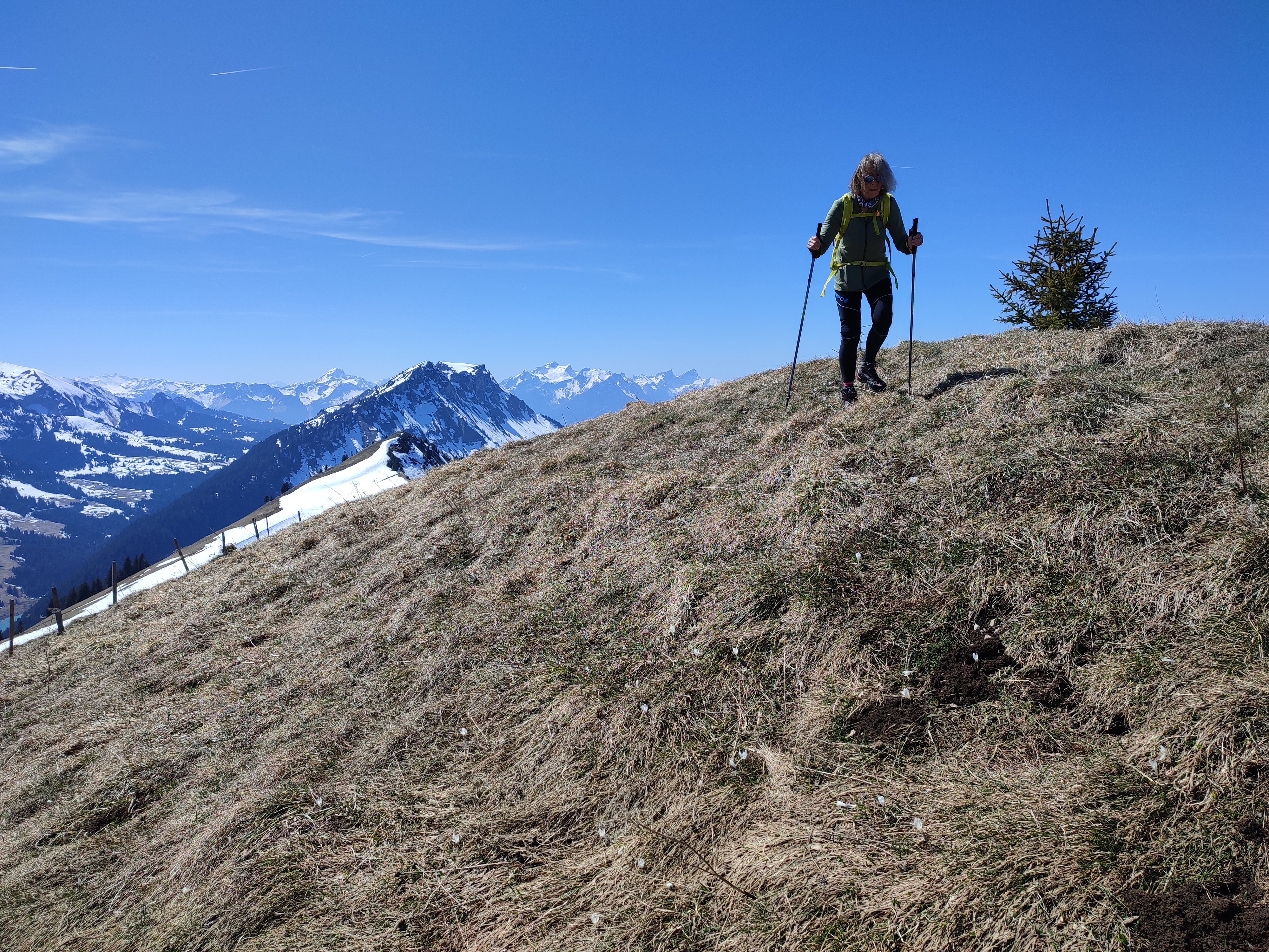 photo de Planachaux (en dessus du Lac de l'Hongrin)