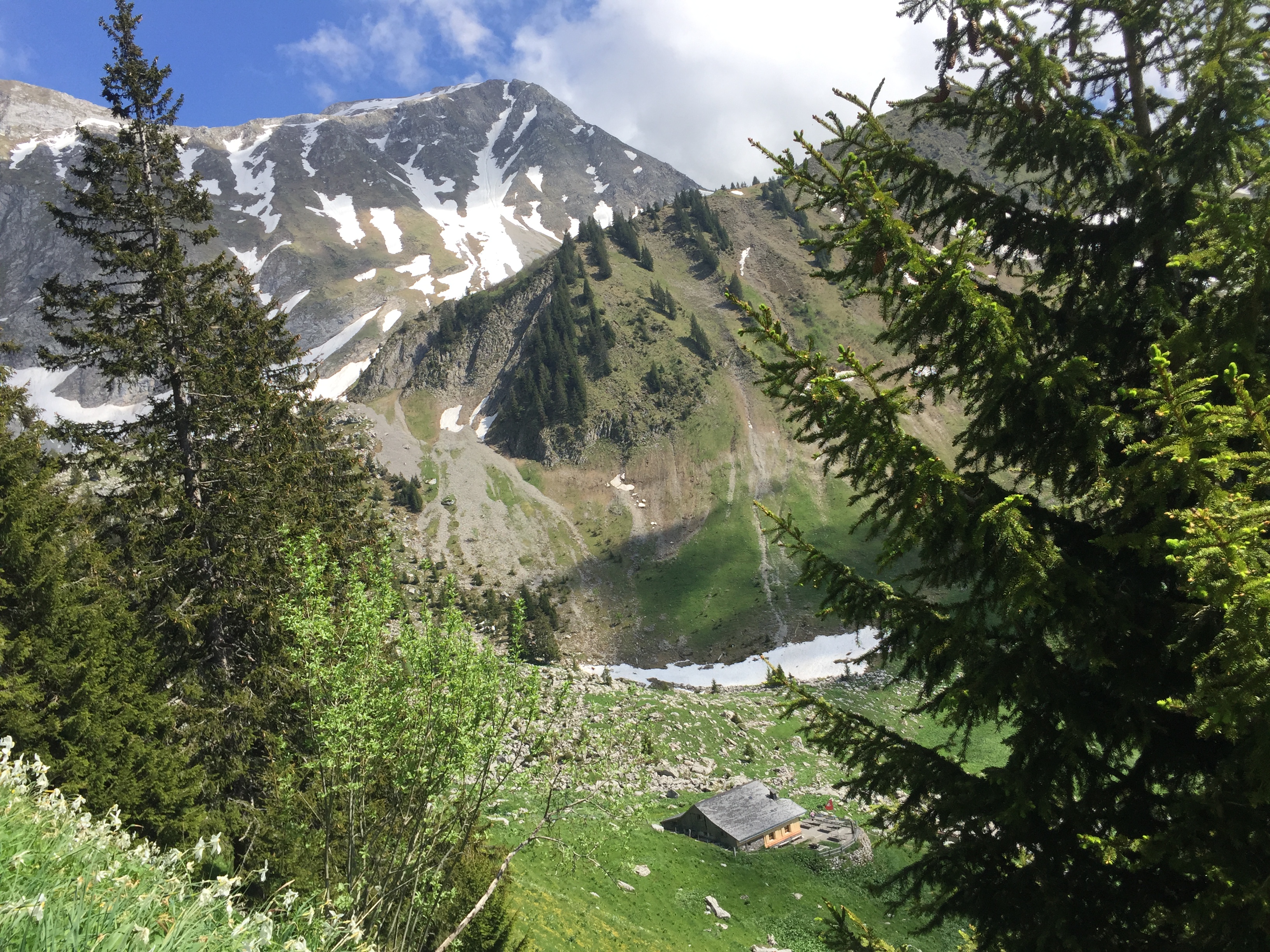 Vue sur la cabane