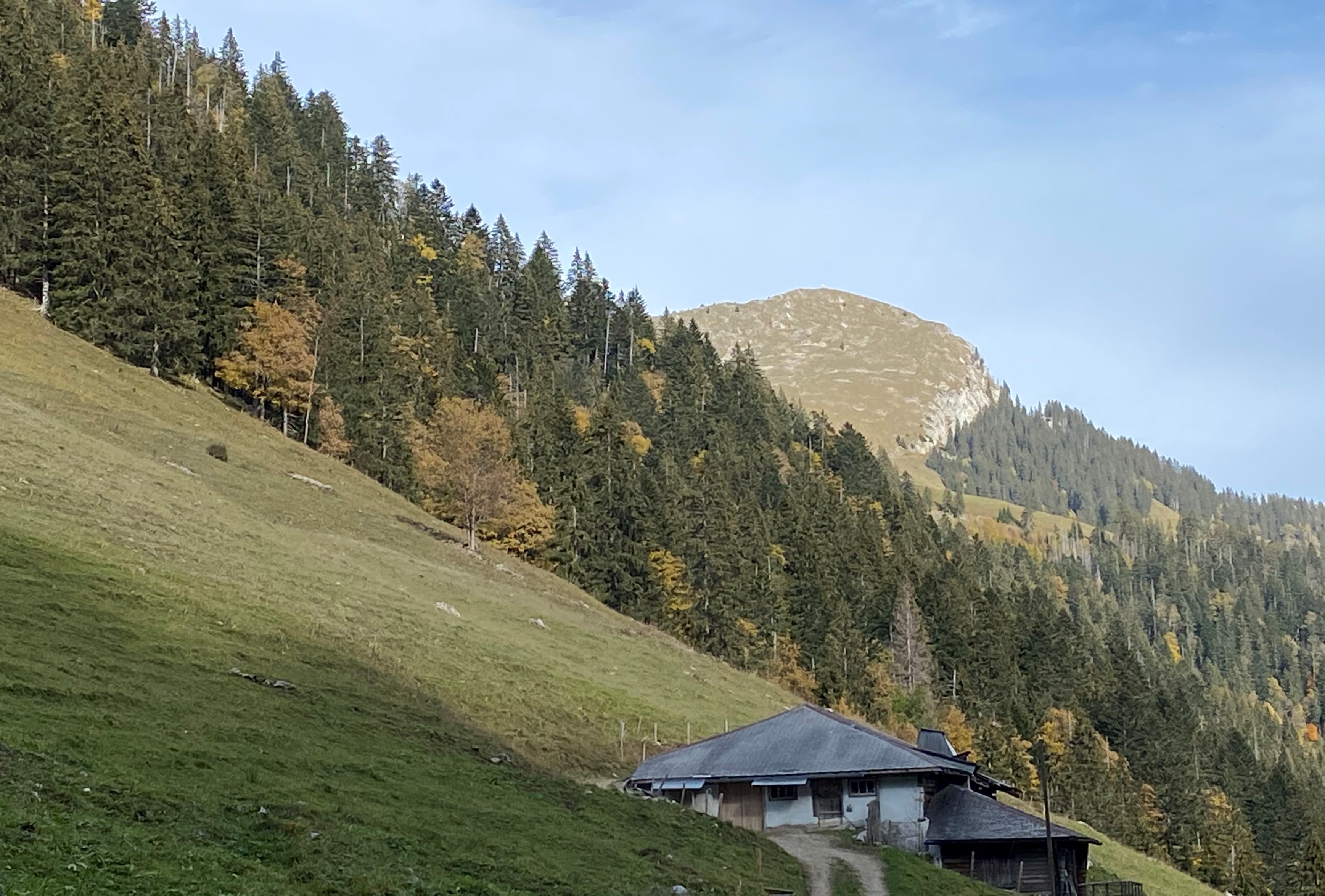 photo de Van (Le)