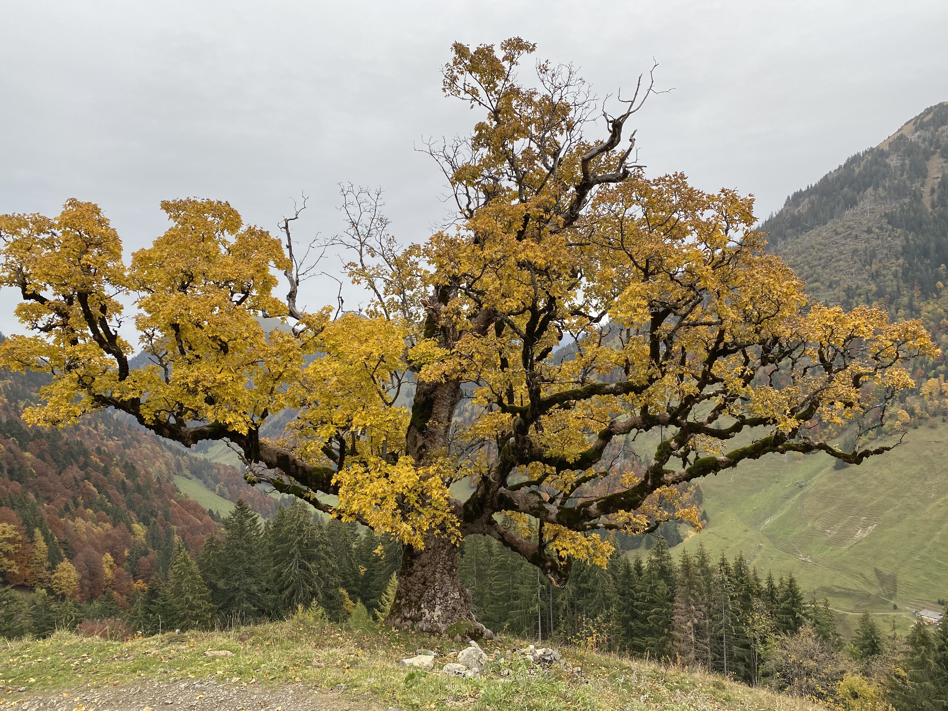 Superbe couleur d\'automne