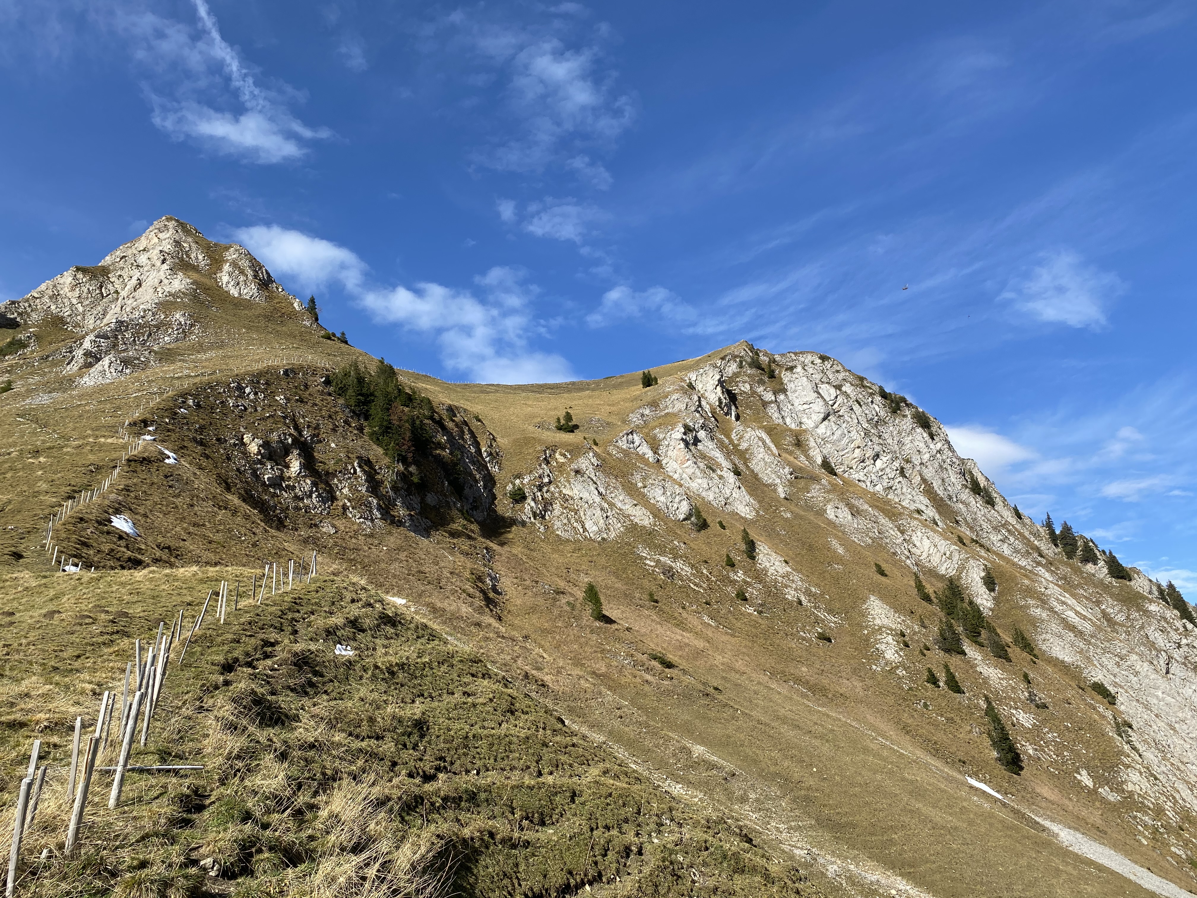 photo de Van (Le)