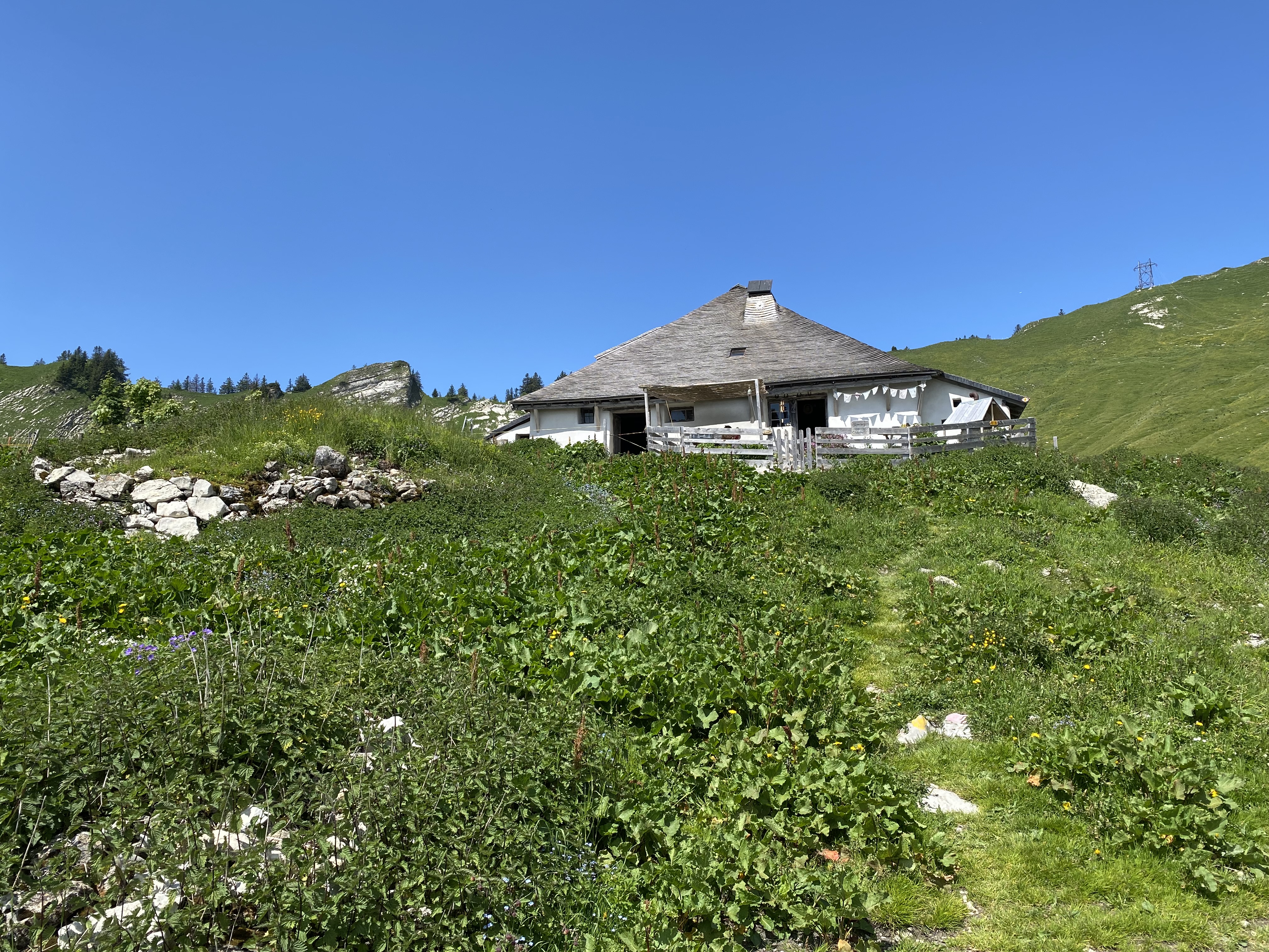 photo de Col de Lys
