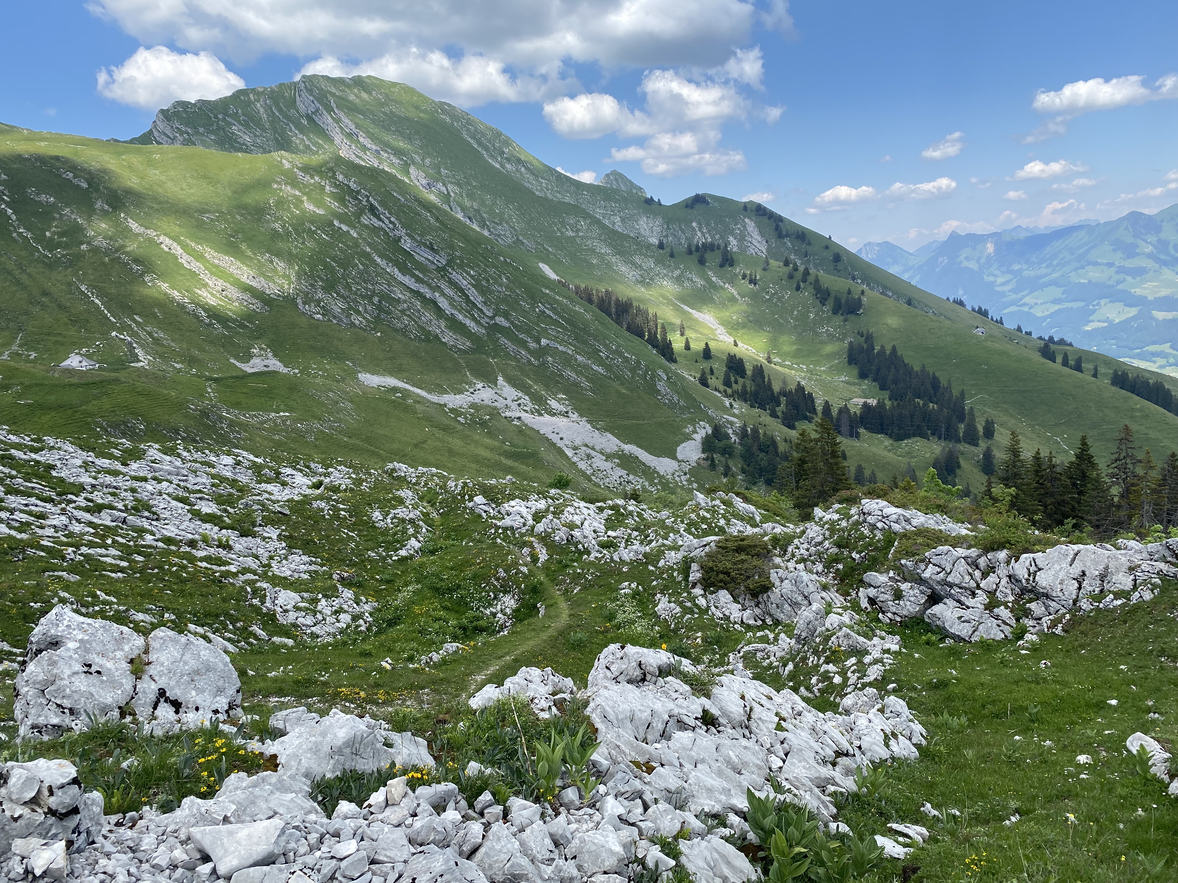 photo de Col de Lys