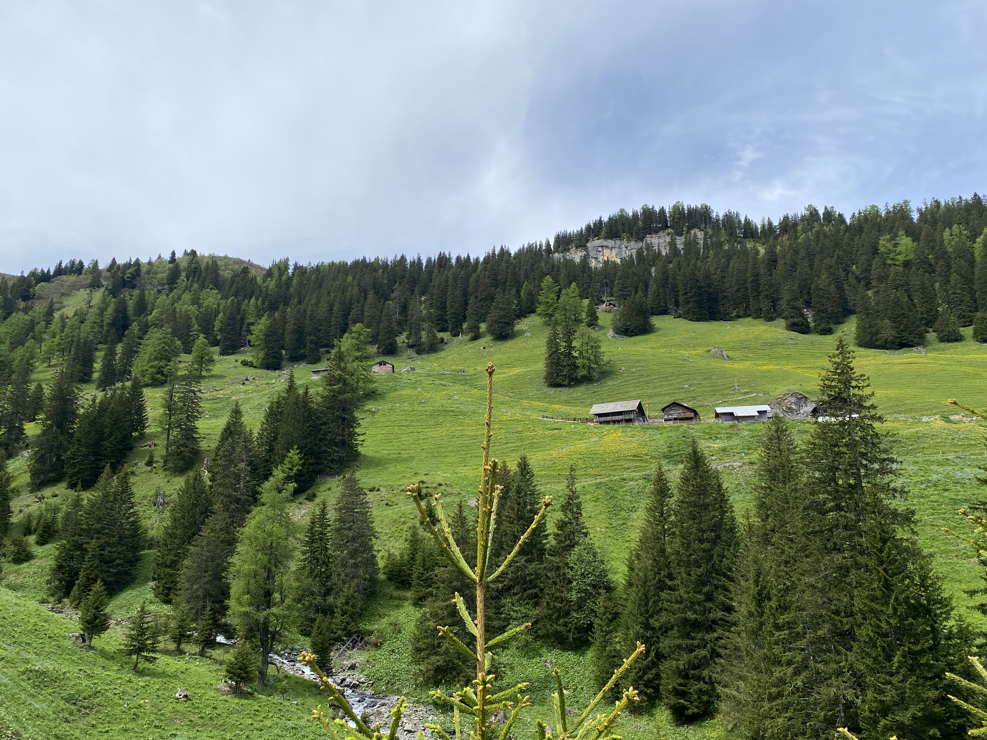 photo de Cabane de La Tourche