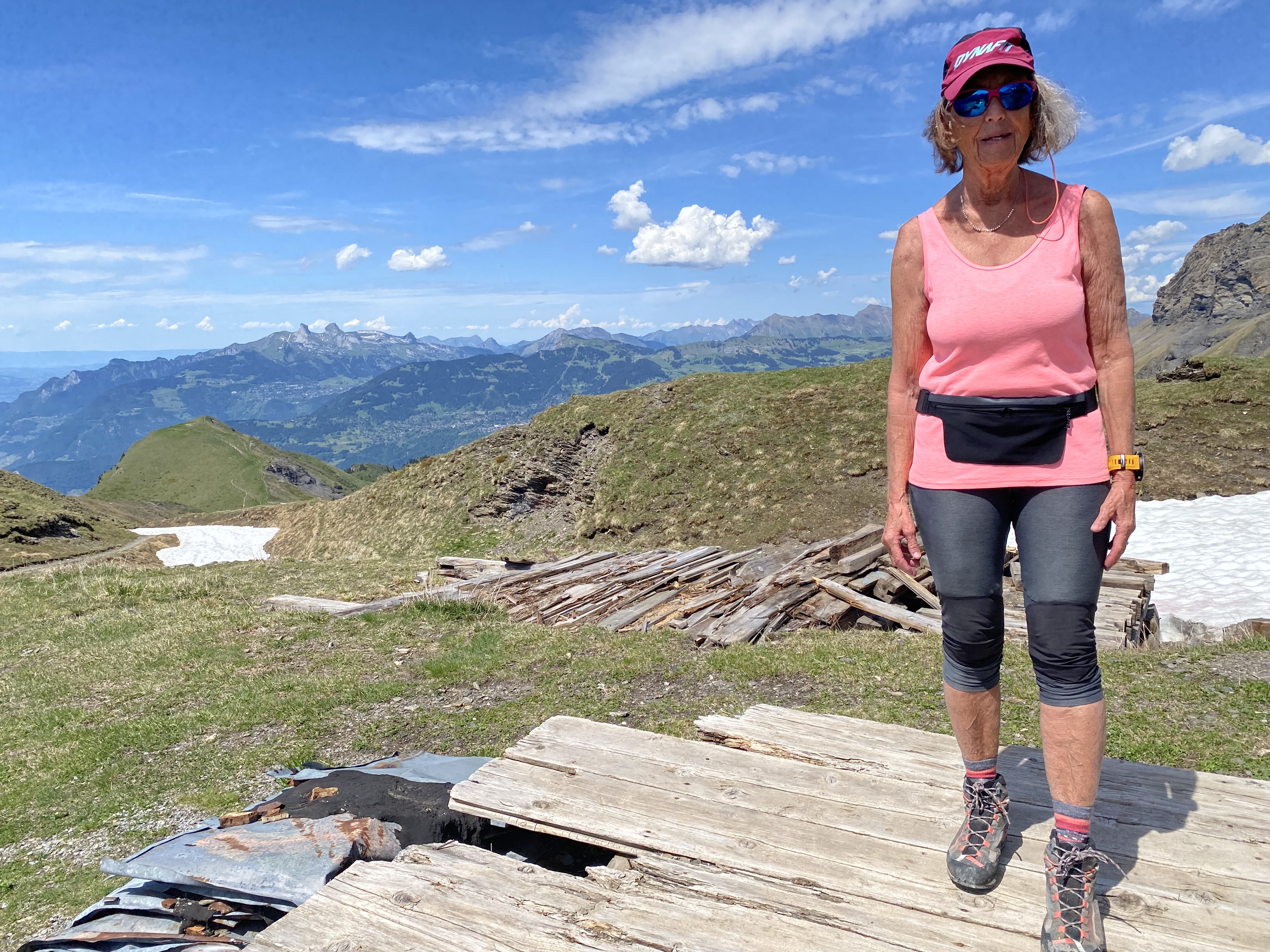 A côté de la cabane avec vue sur les Tours d\'Aï et Le Moléson au centre