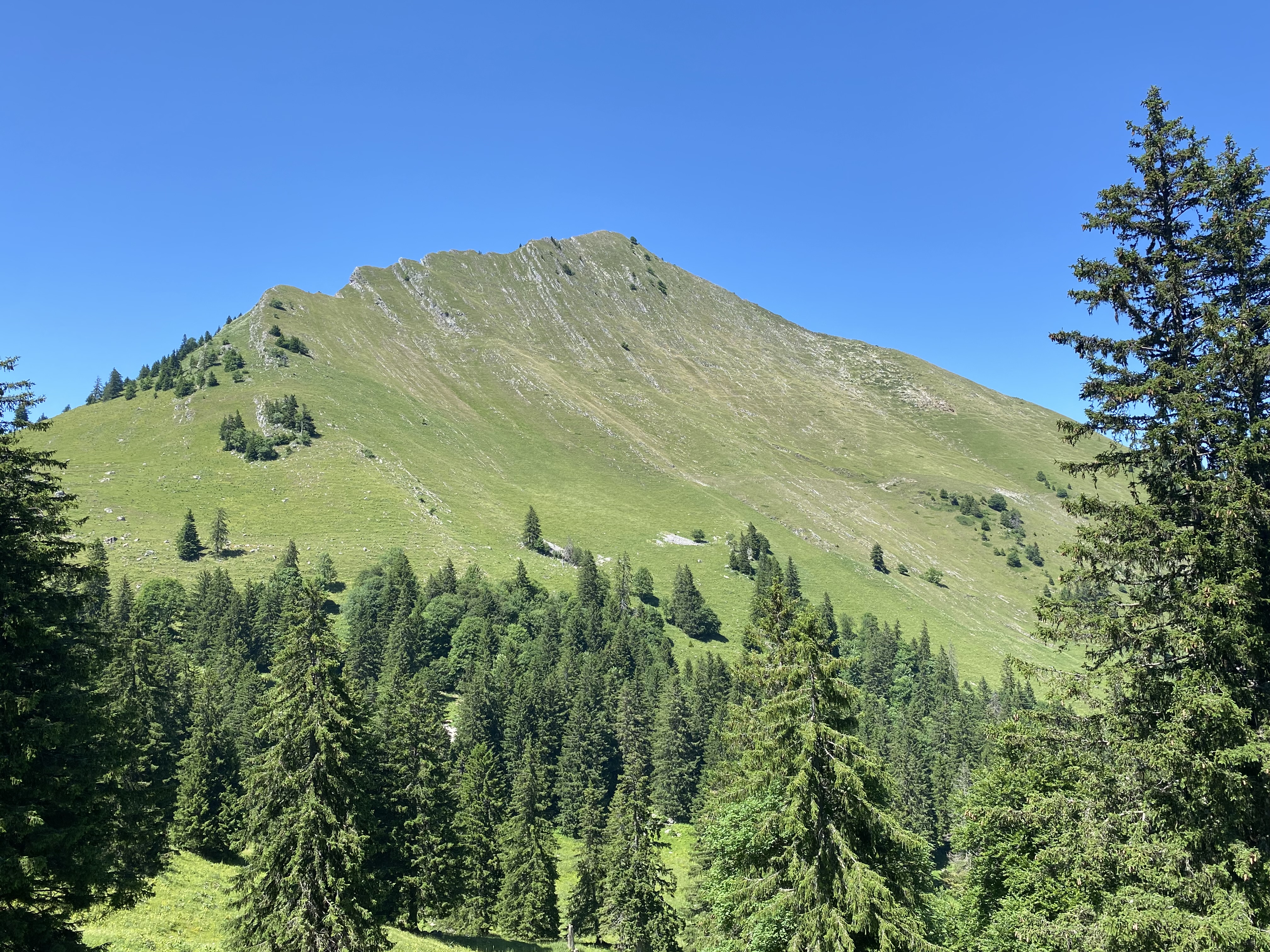 Arête des Coursis