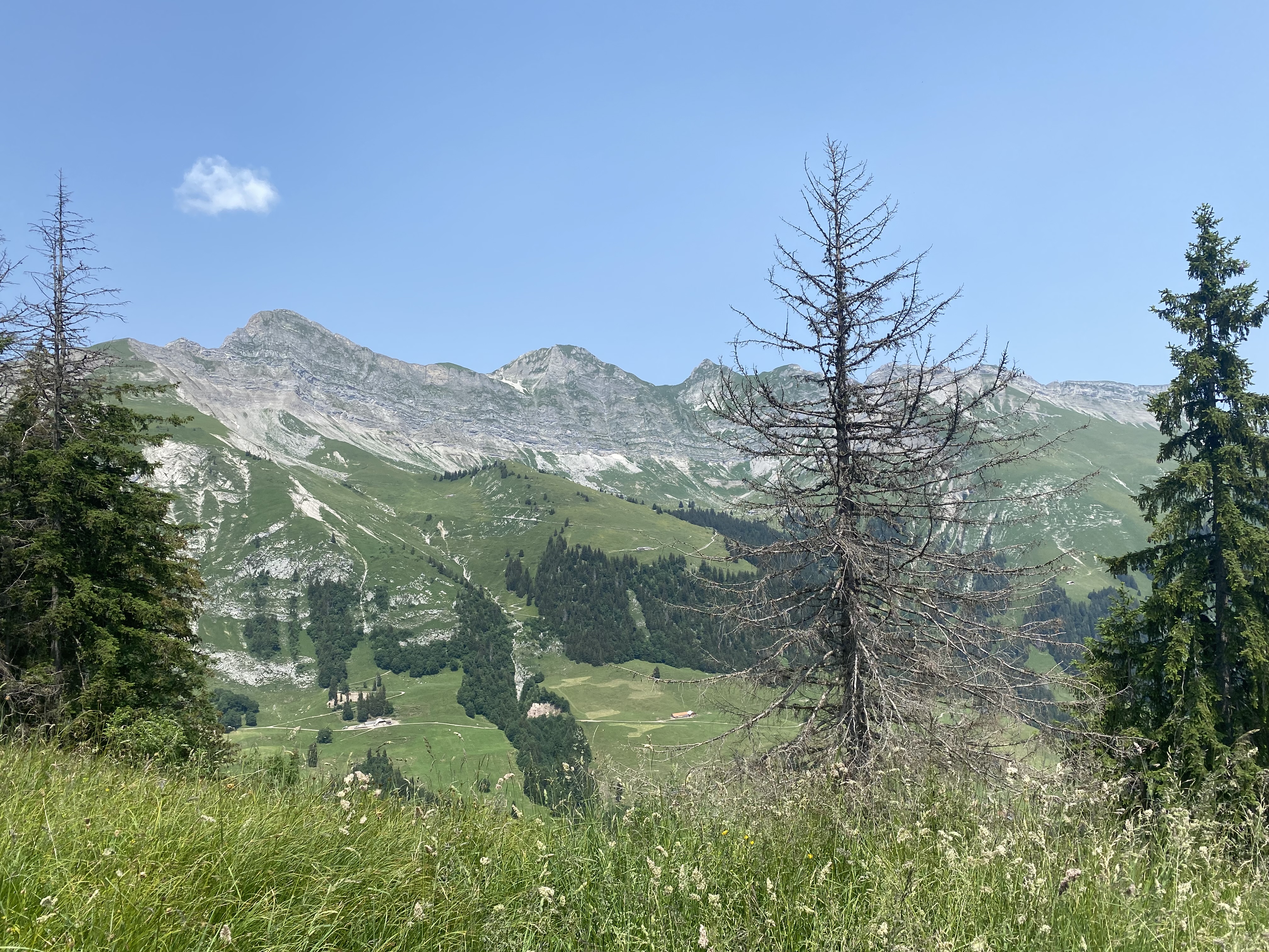 photo de Laitemaire (La)