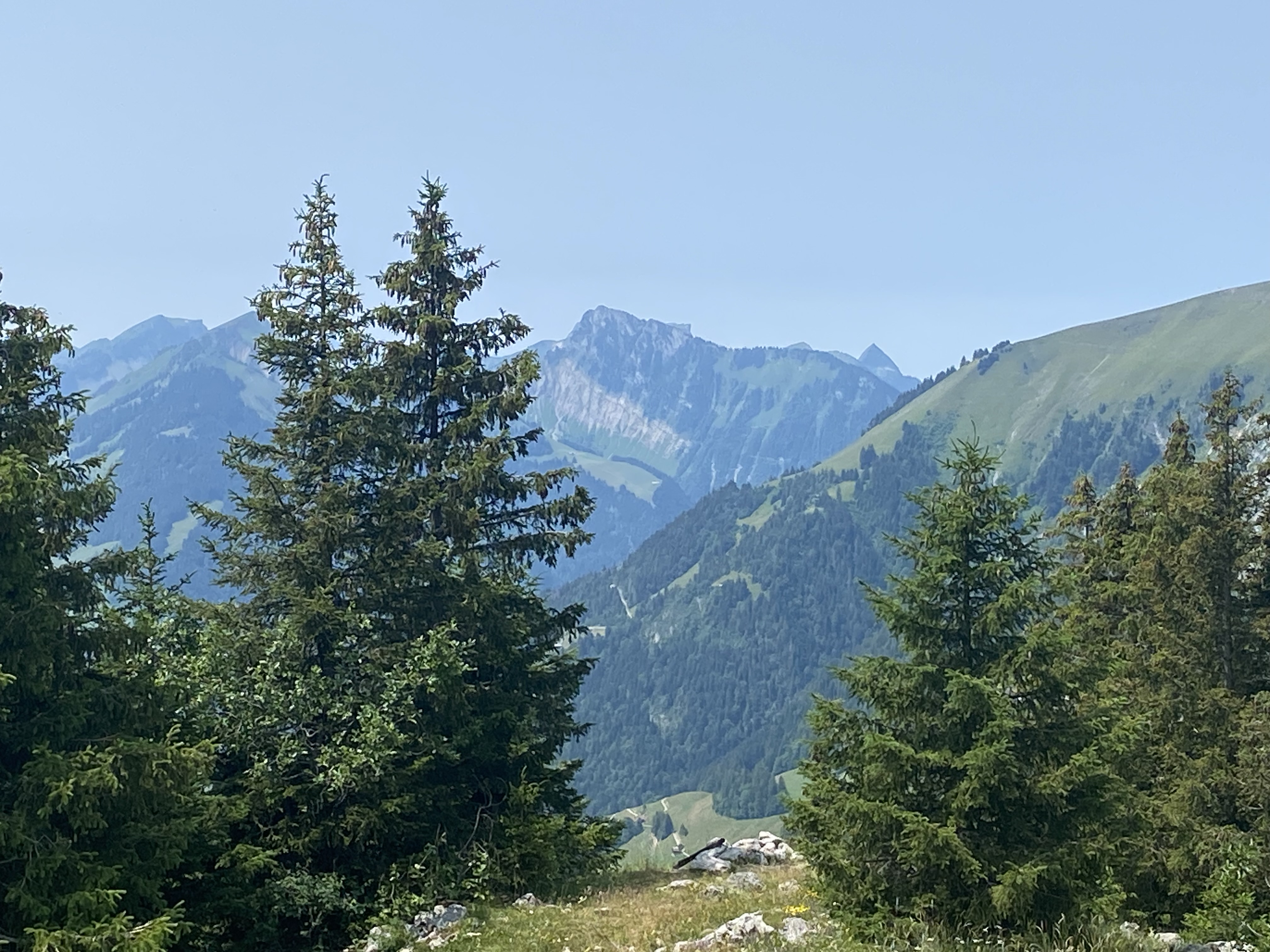 photo de Laitemaire (La)