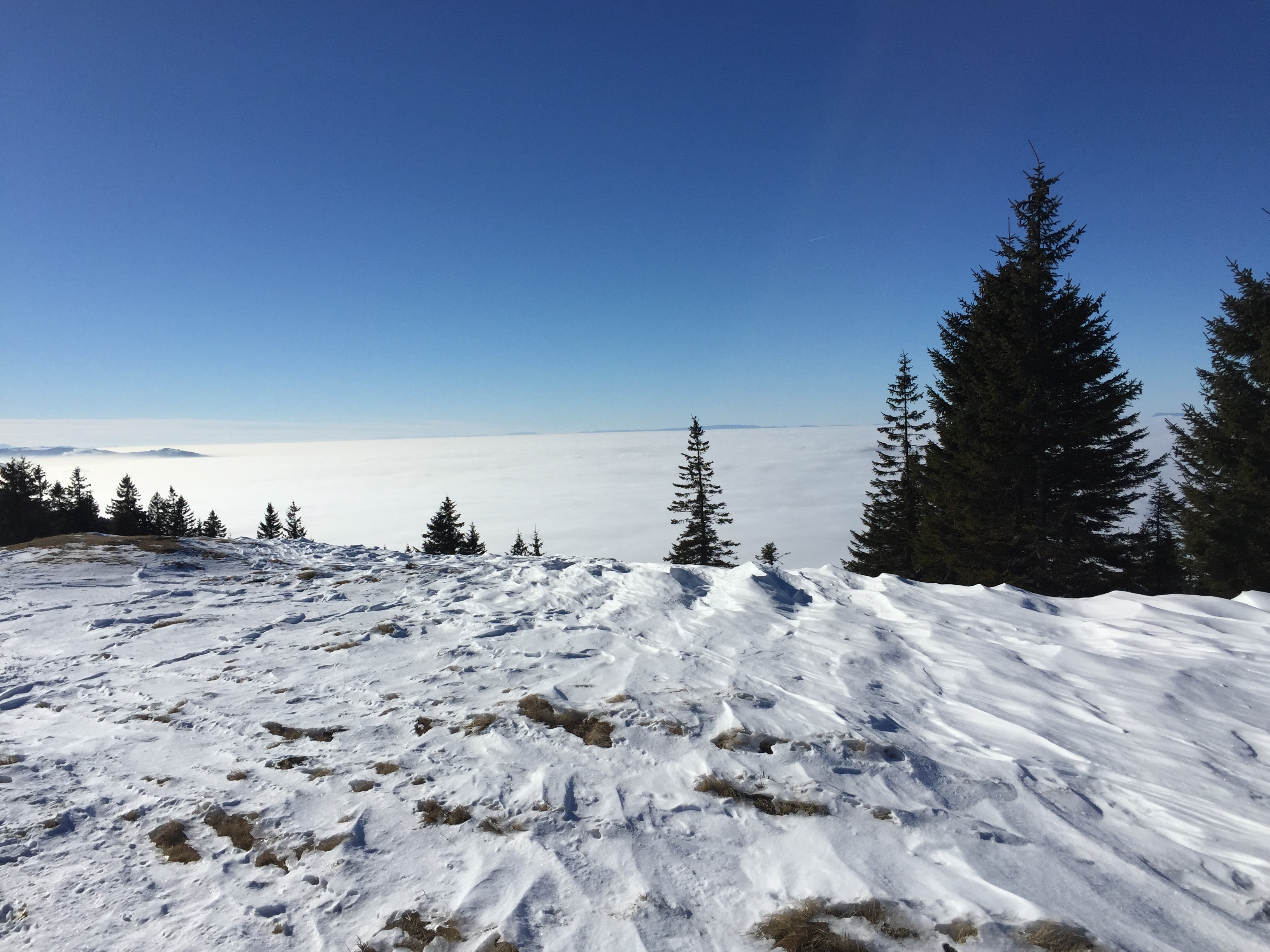photo de Berra (La)