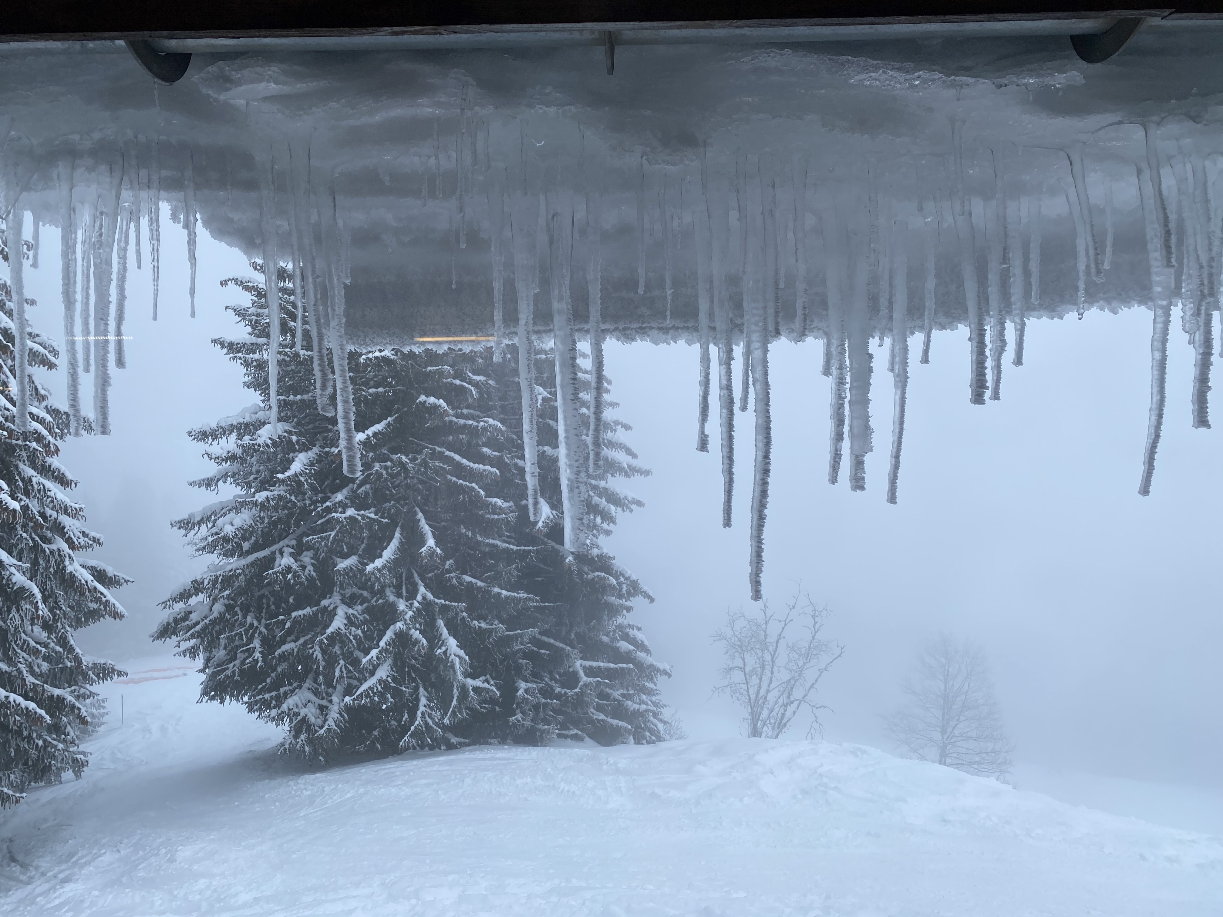 Depuis l\'intérieur de la cabane