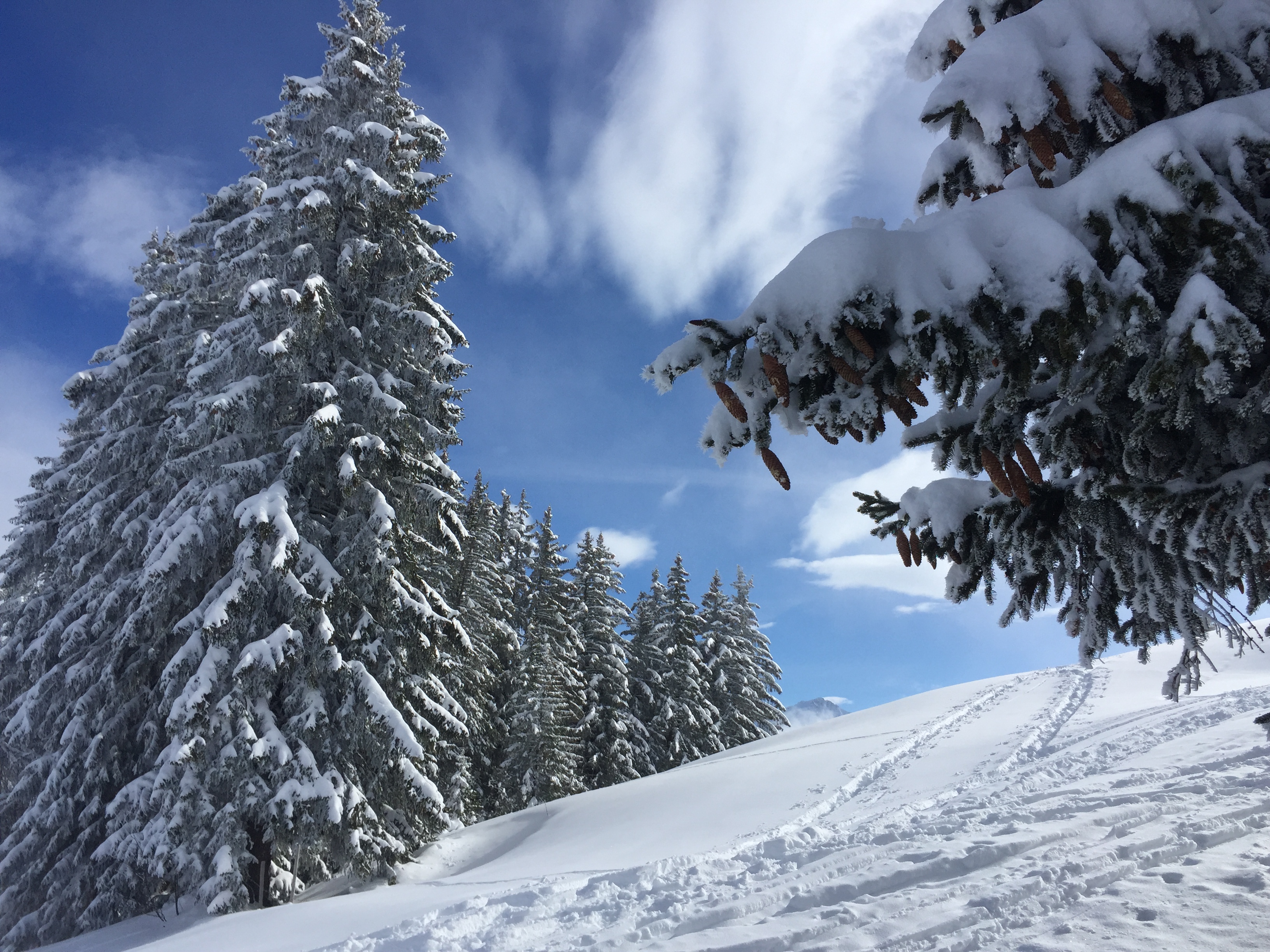 photo de Monts Chevreuils (Les)