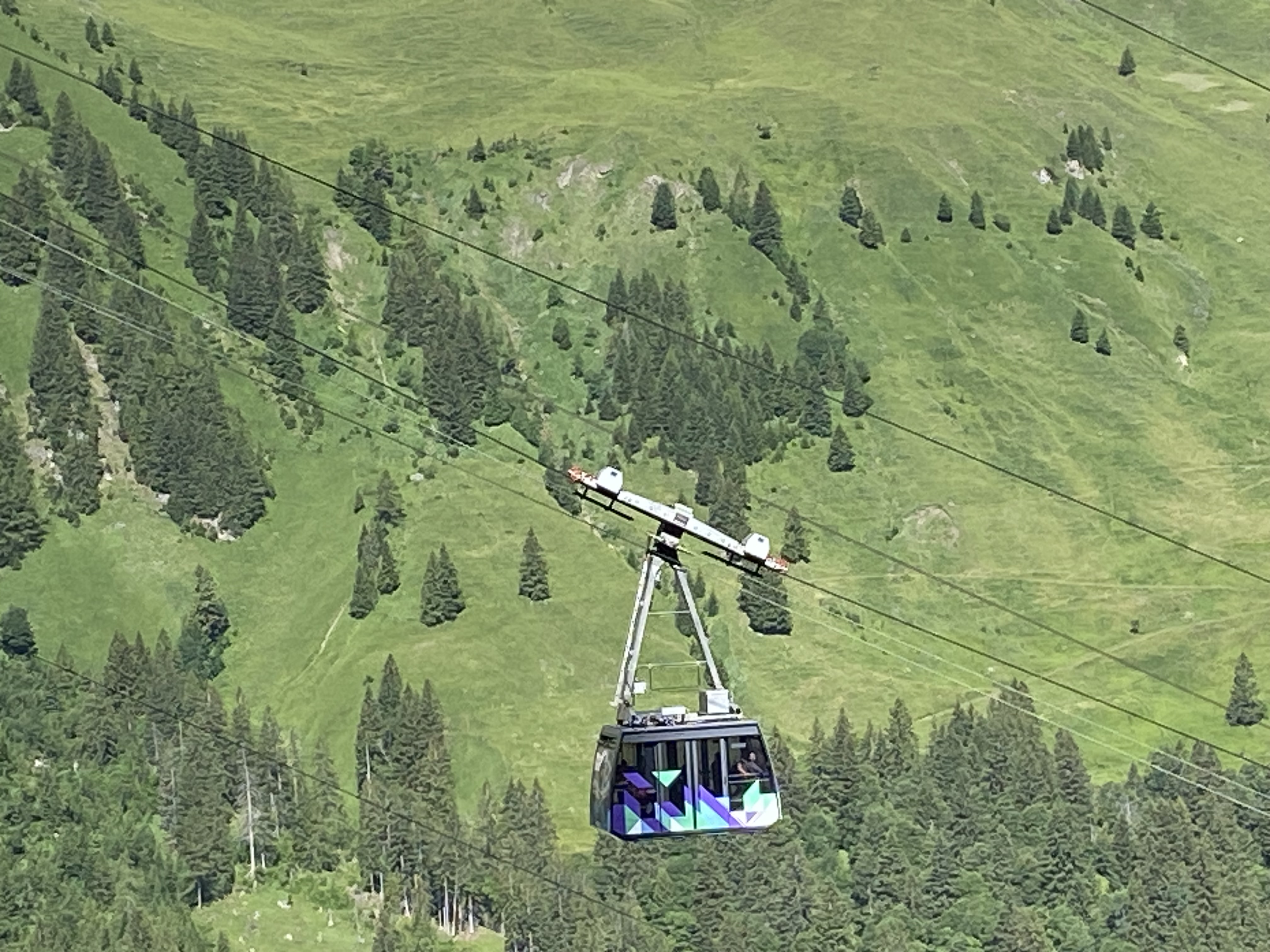 photo de Engstligenalp (Adelboden)
