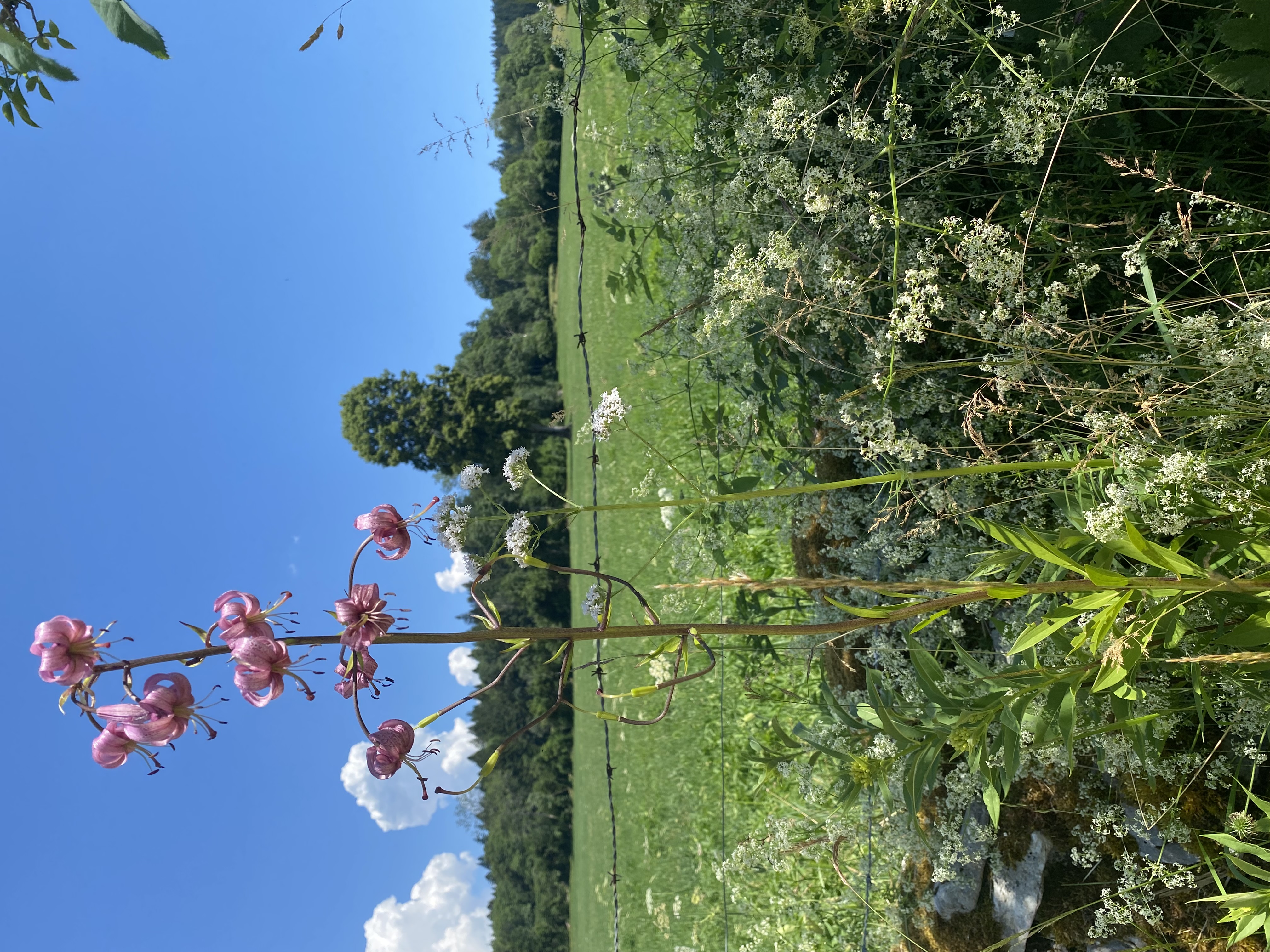 photo de Roches-de-Moron (Les)