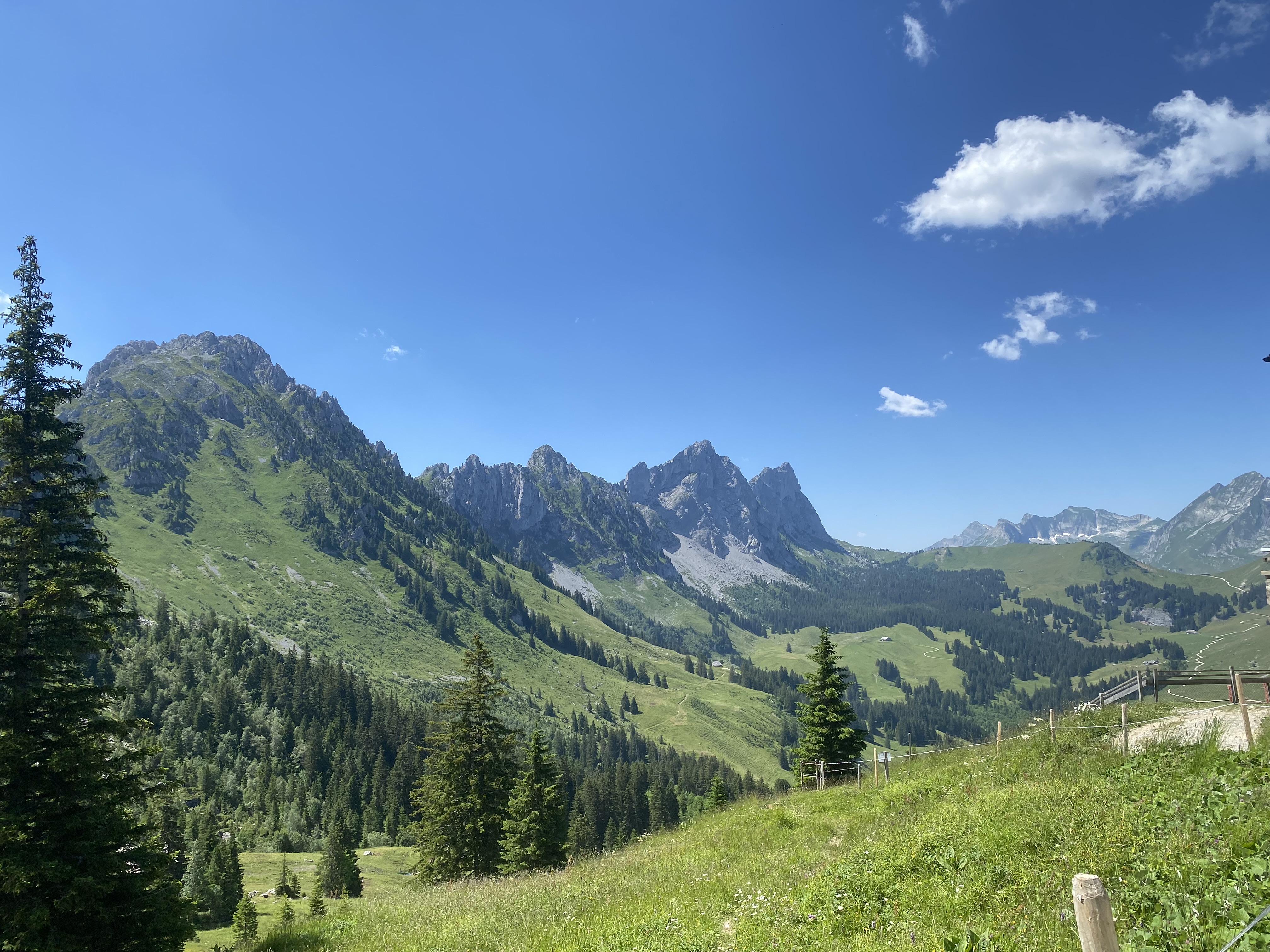photo de Col du Loup (Wolfs Ort)