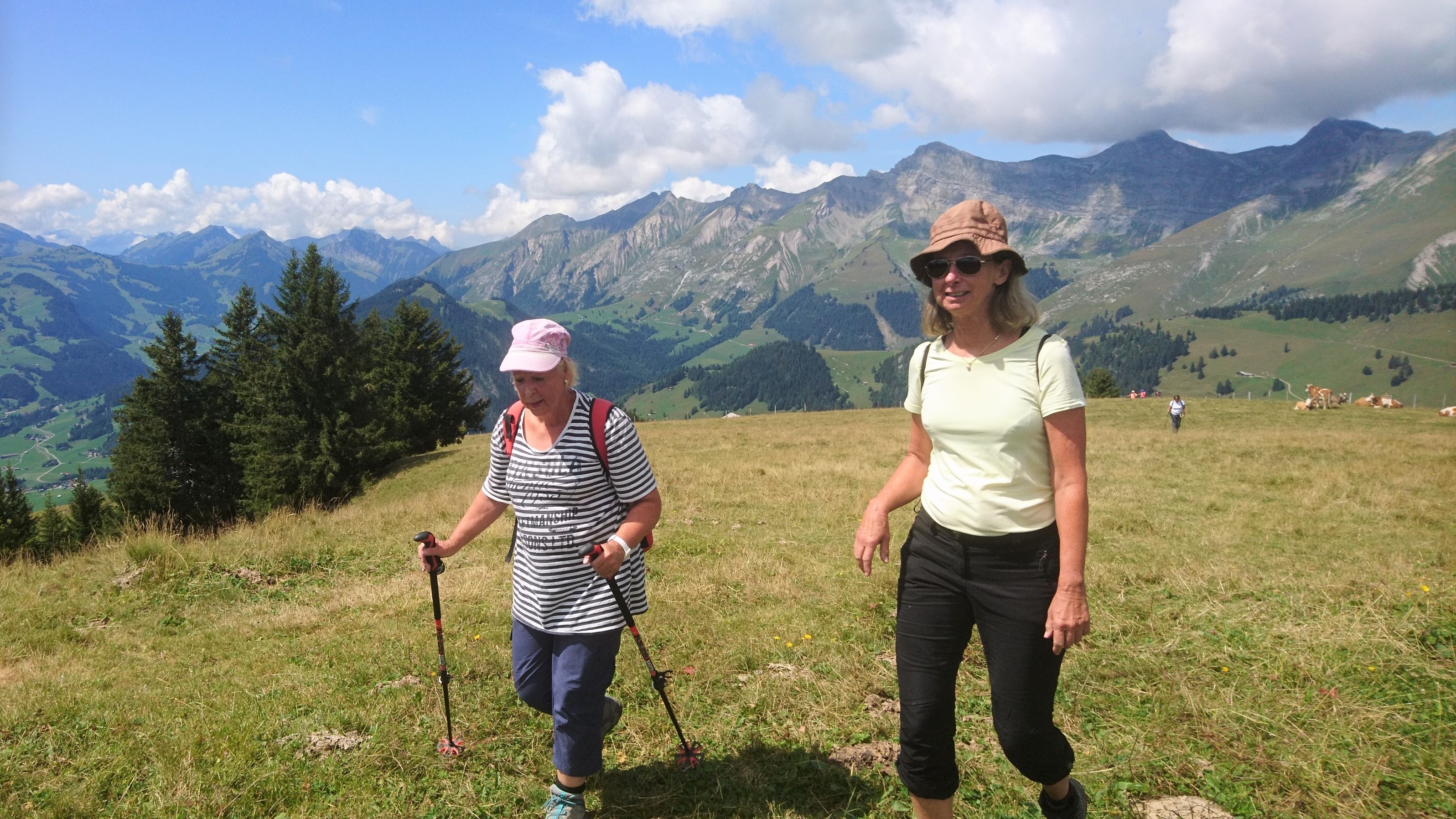 photo de Rodomonts (Les)